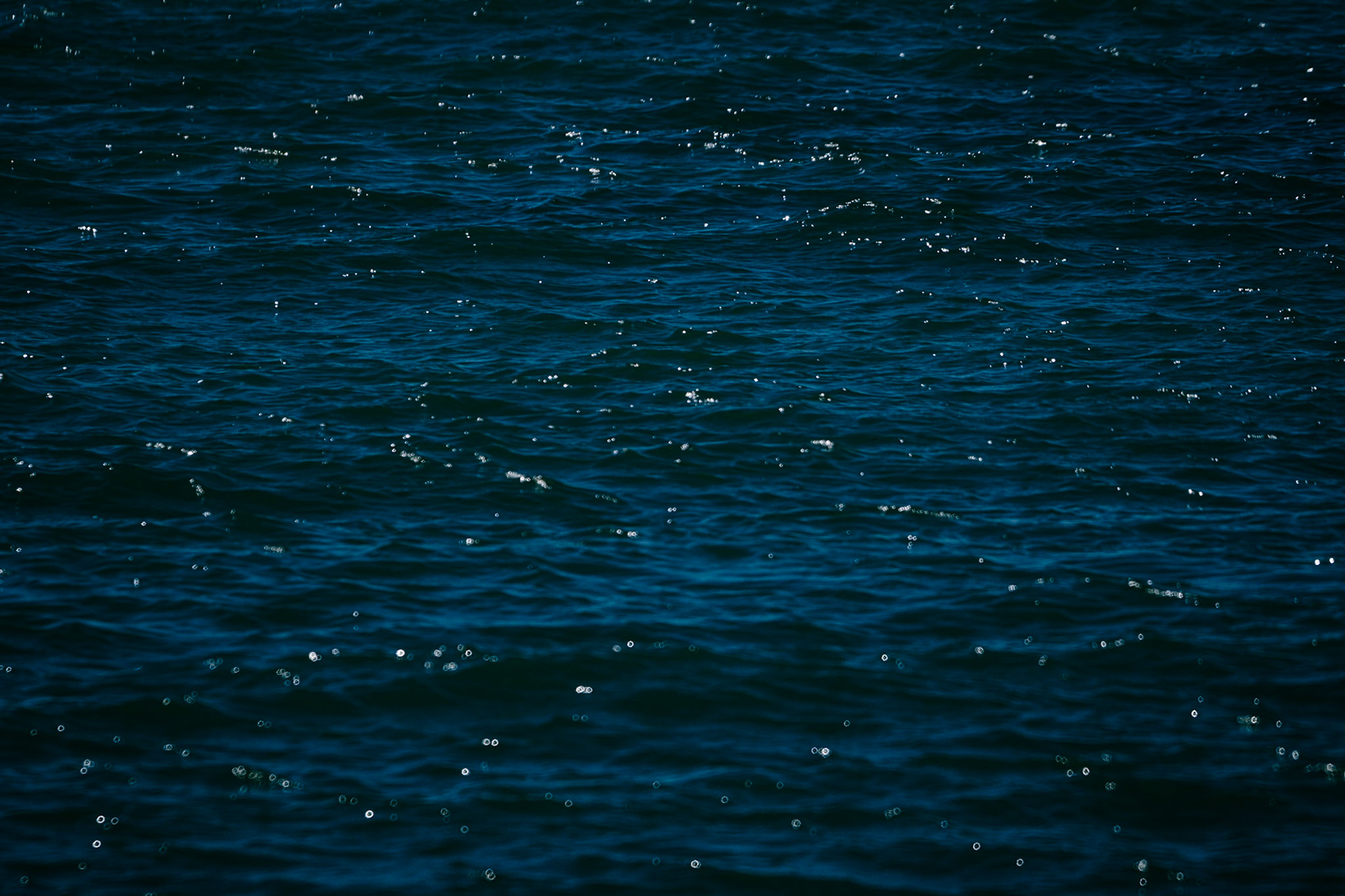 Nature's textures to change your mind. Nature is evermoving, everchanging. So are we.