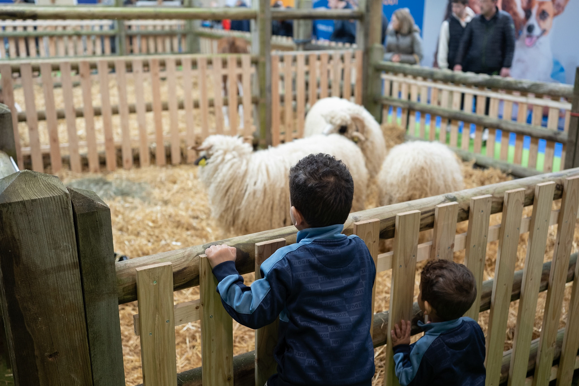 Salon D' Agriculture (Agricultural show) 2025, in Porte de versaille, Paris, France. On the opening day February 22nd. Paris, France, by Maria KALAFATSI