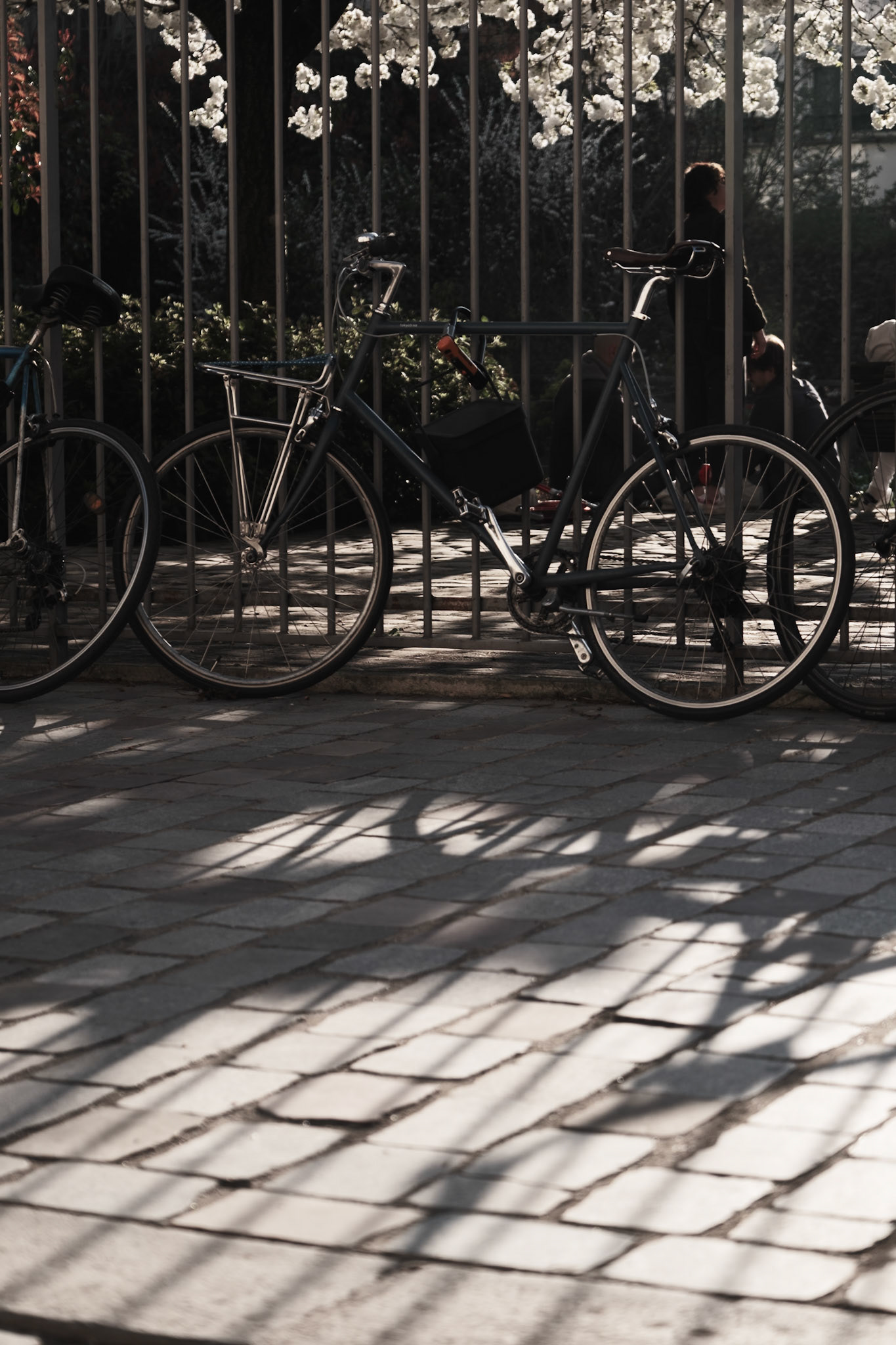 Humble Bicycles around Paris, Jardin de la Folie Titon, Paris, France, March 2025, by Maria KALAFATSI