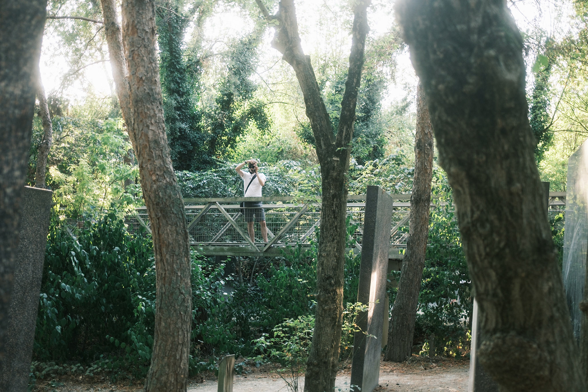 ©Maria Kalafatsi
