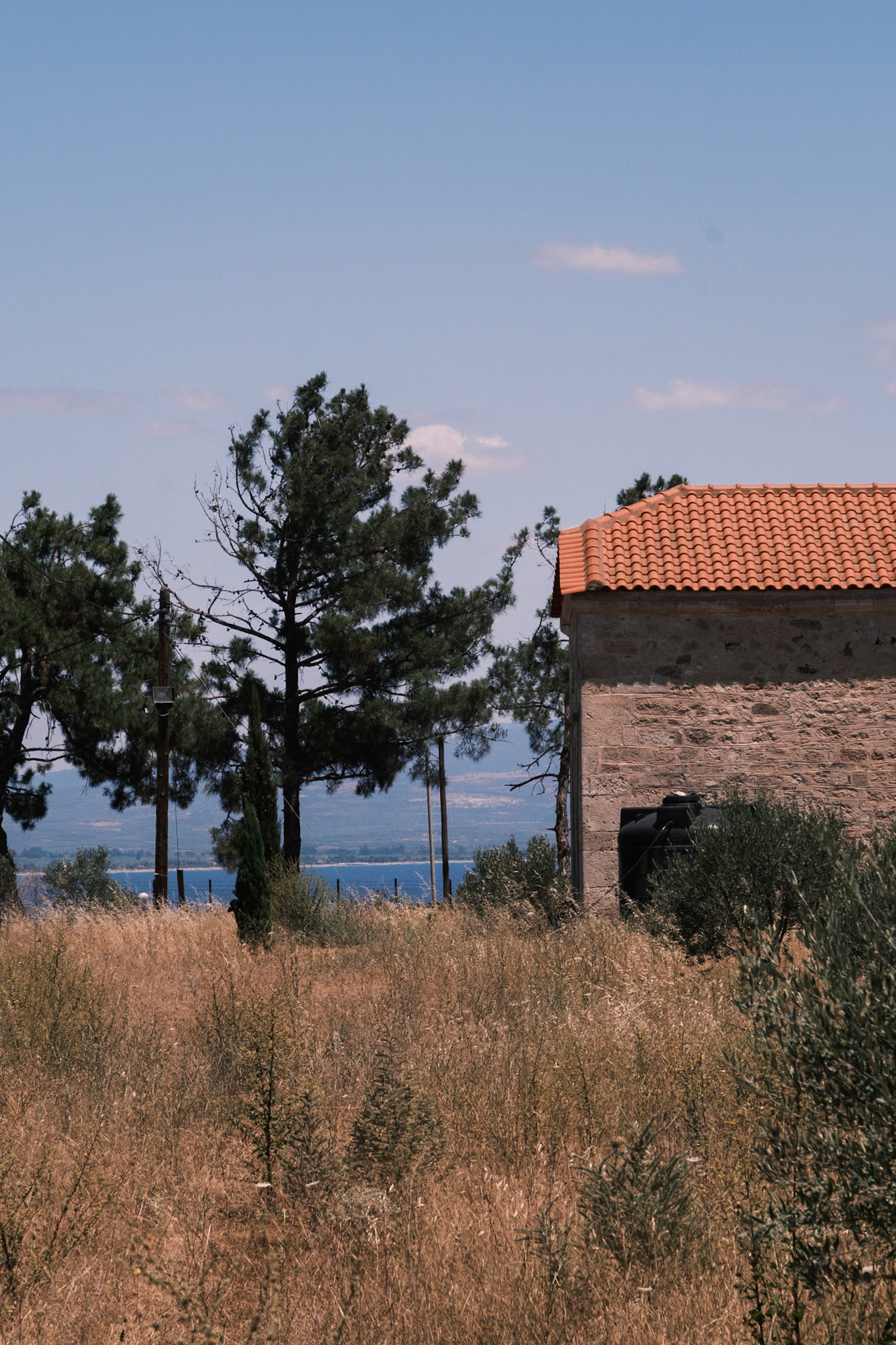 Μετόχι Νέας Ποτίδαιας, Δήμος Νέας Προποντίδας, Χαλκιδική, Ελλάδα. Ιούνιος 2024, Μαρία Καλαφατσή