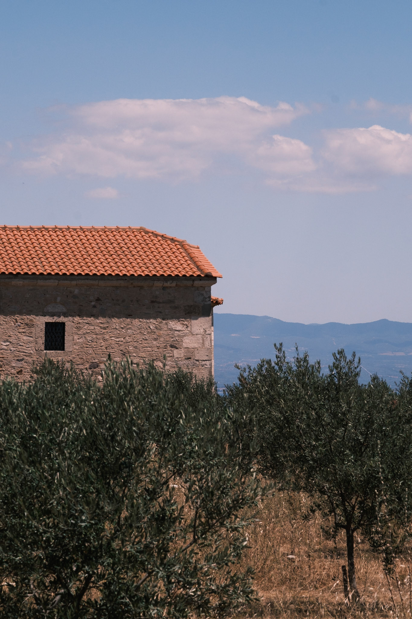 Μετόχι Νέας Ποτίδαιας, Δήμος Νέας Προποντίδας, Χαλκιδική, Ελλάδα. Ιούνιος 2024, Μαρία Καλαφατσή