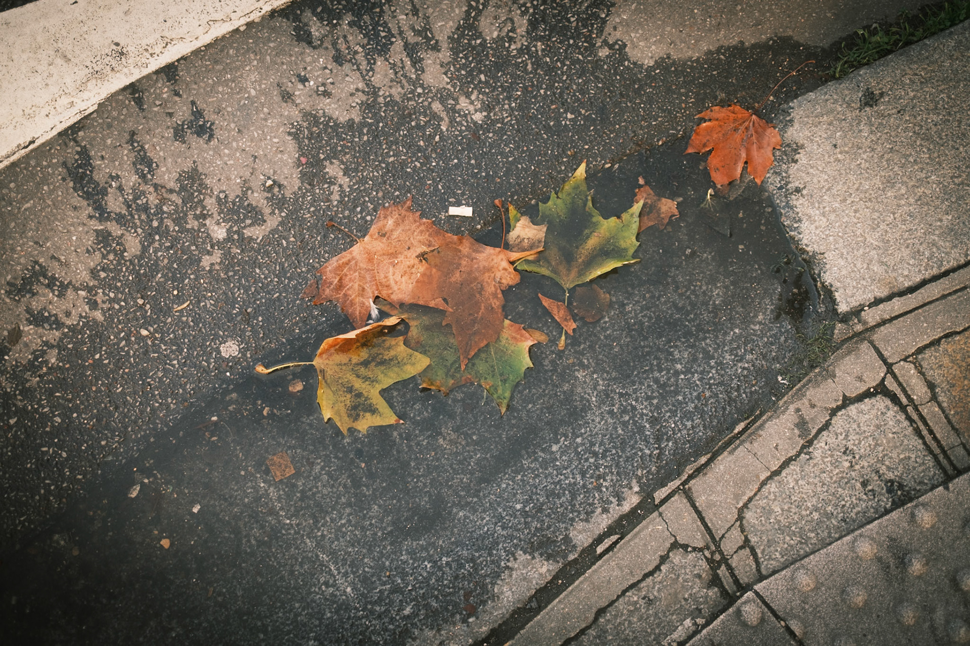 after all, after the rain