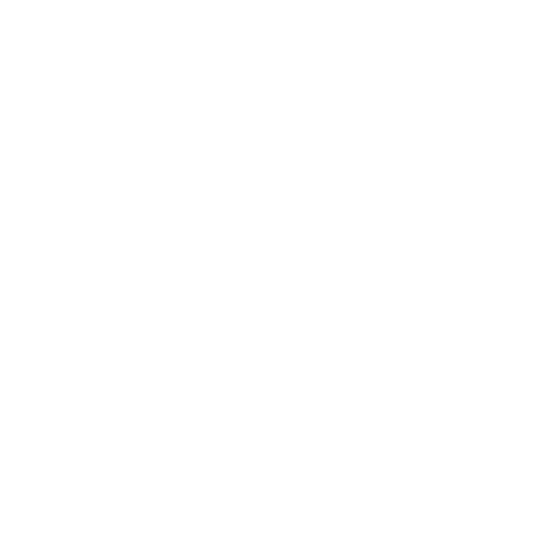 Adrian Perez Borroto