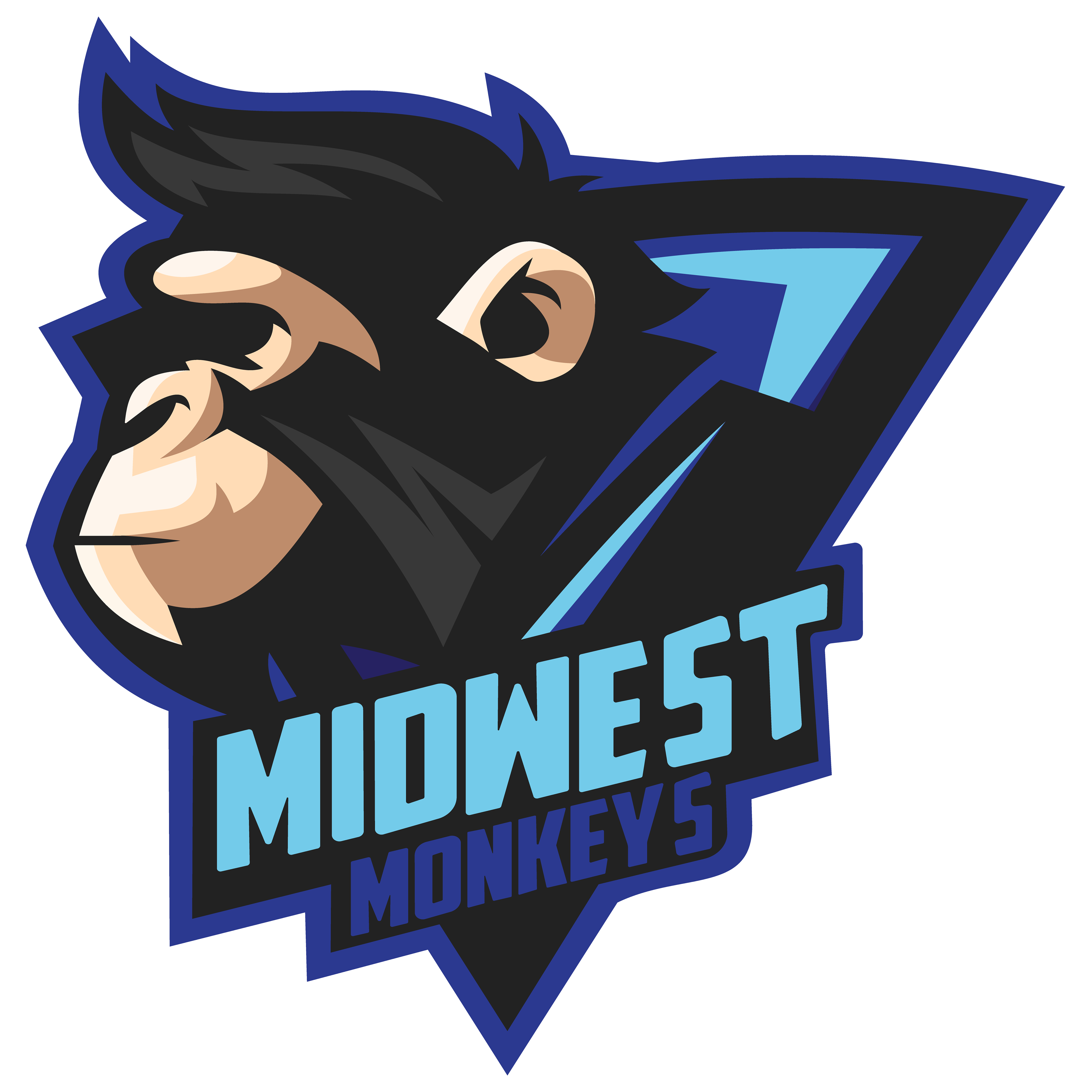 My Wiffleball Team Logo