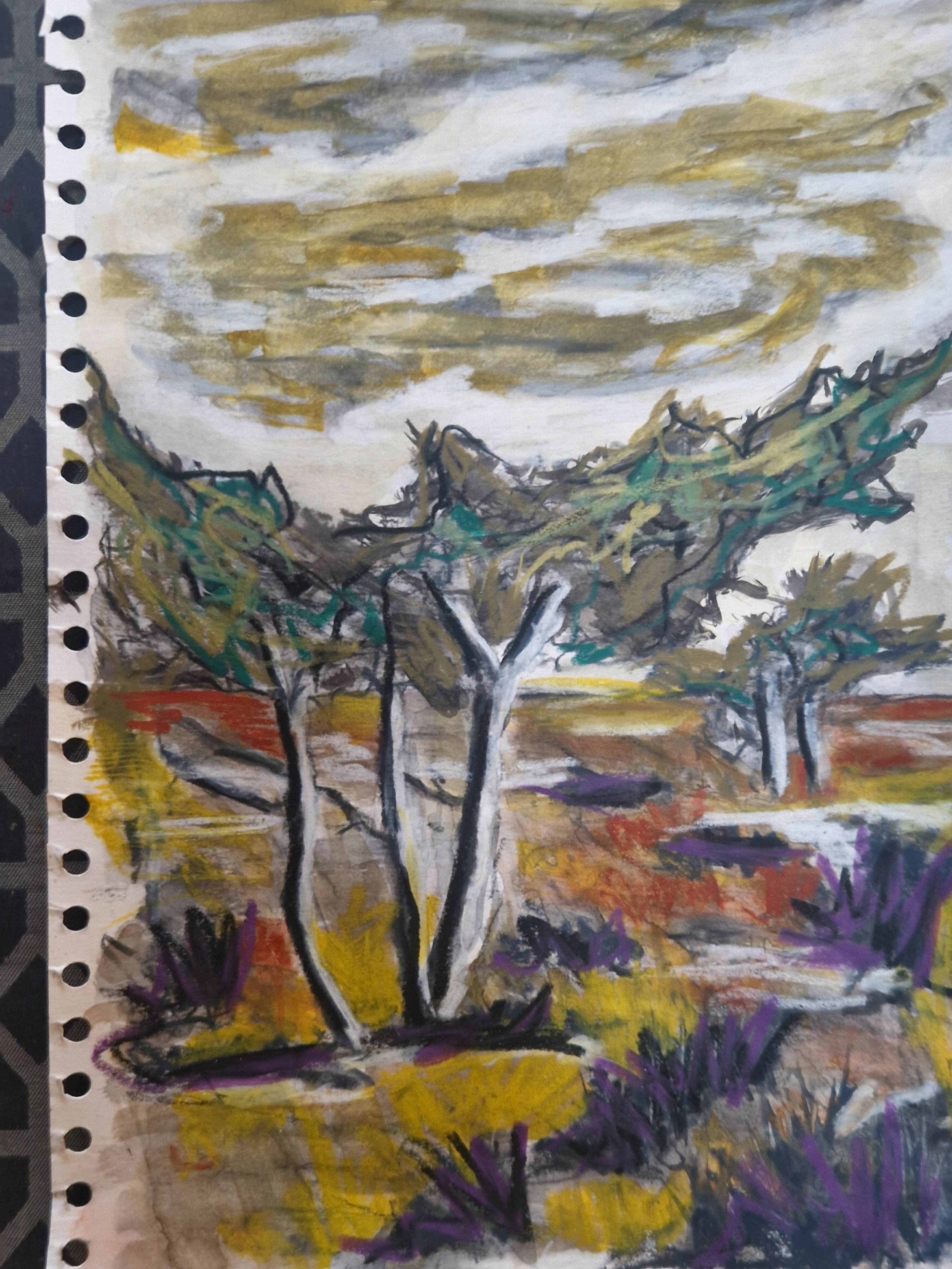 1200 kr. Skagen A4 pastel på papir 2025