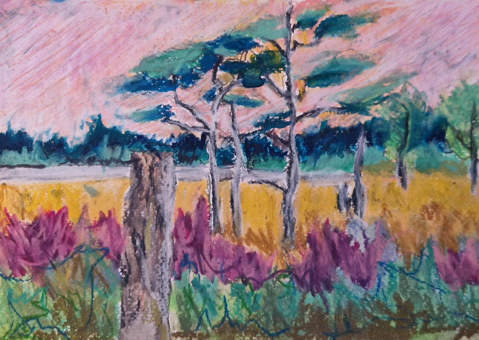 850 kr. Skagen A5 pastel på papir 2025