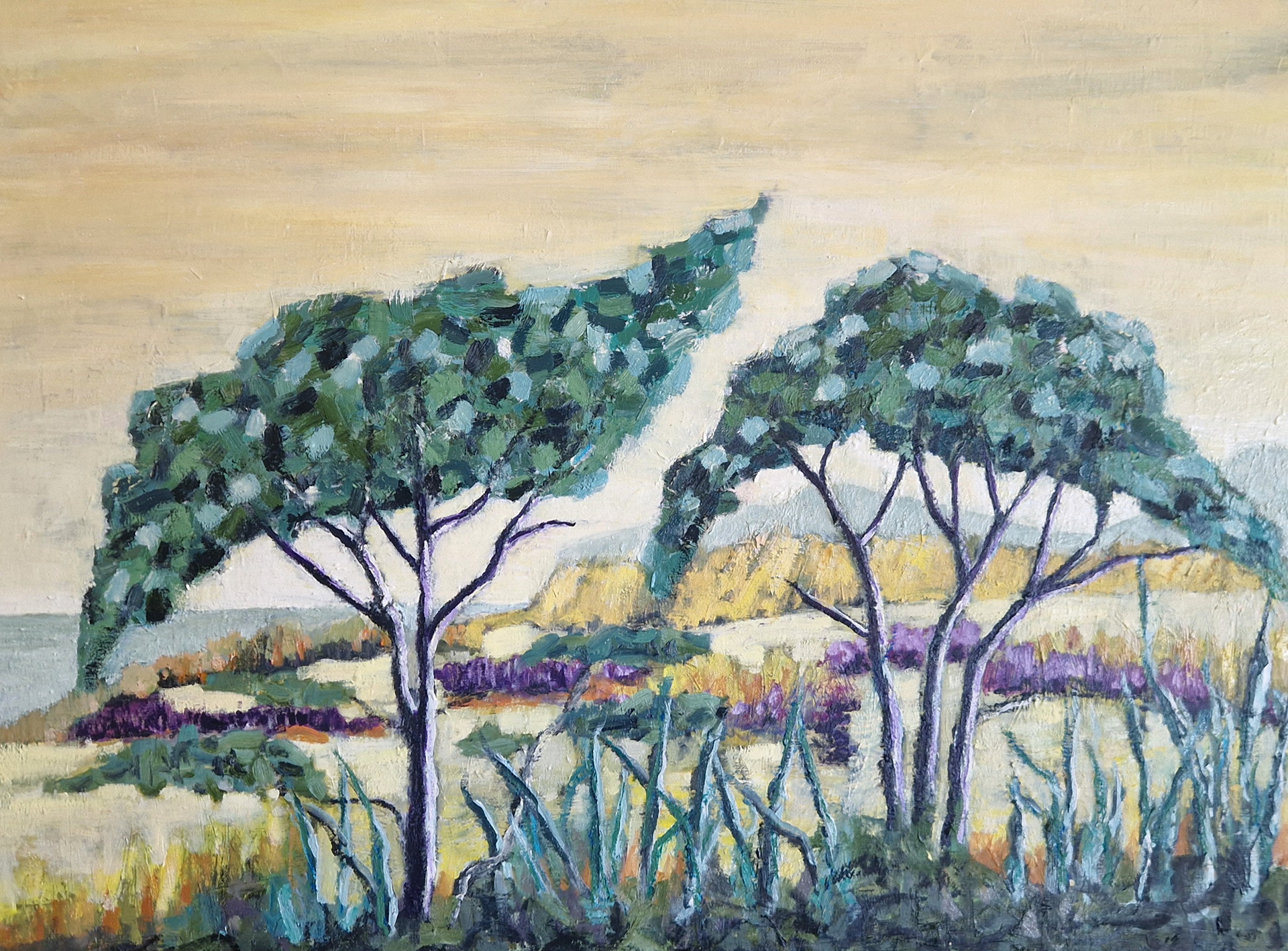 6500 kr. 60x80 cm olie på lærred.
