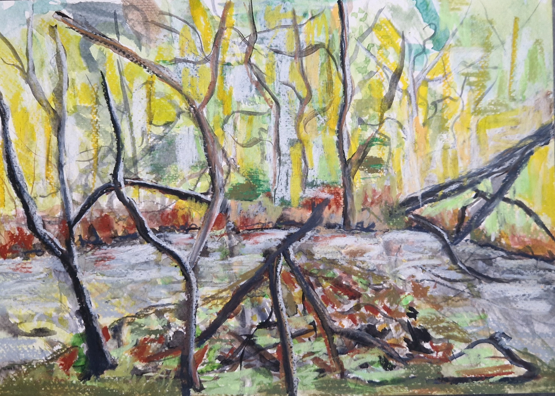 1500 kr. A5 pastel på papir