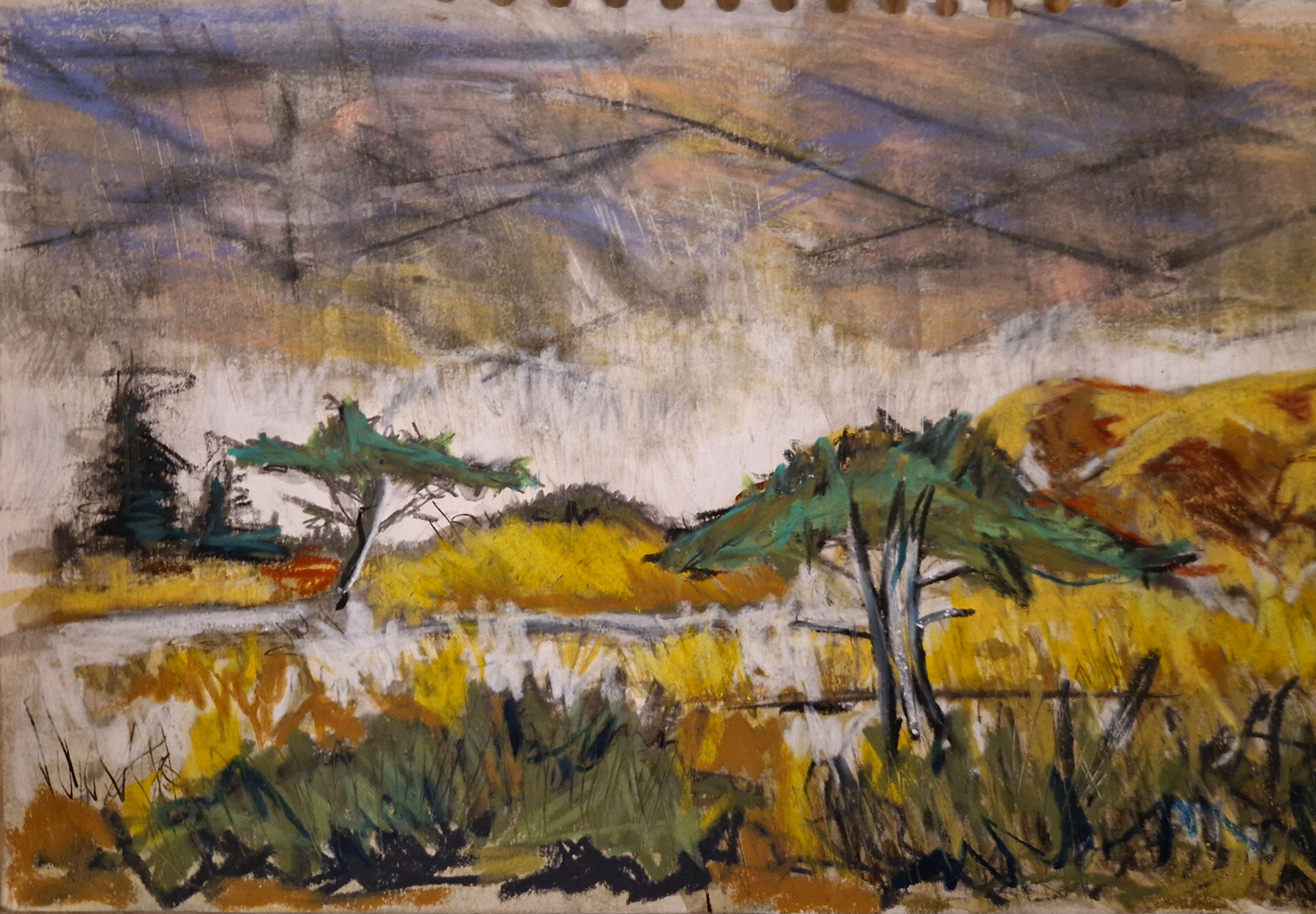 1200 kr. Skagen A4 pastel på papir 2025