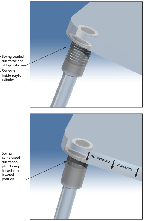 Spring Design shown here