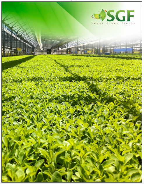 Sweet Green Fields 2-Panel Mural