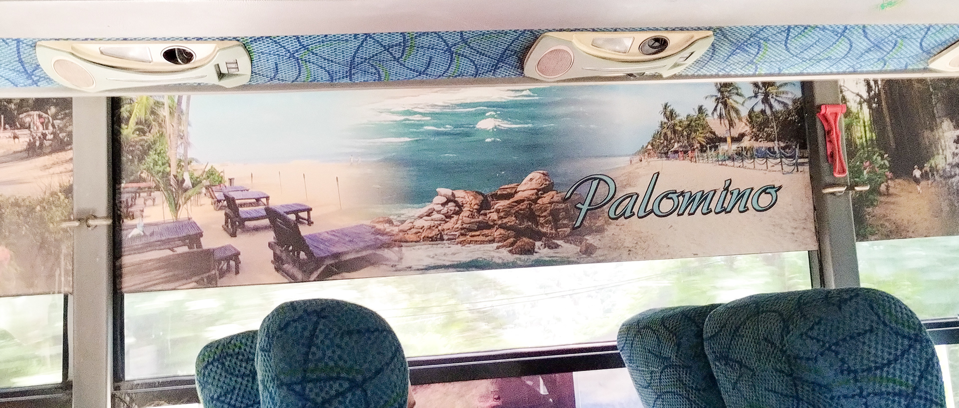 Bus to Palomino 