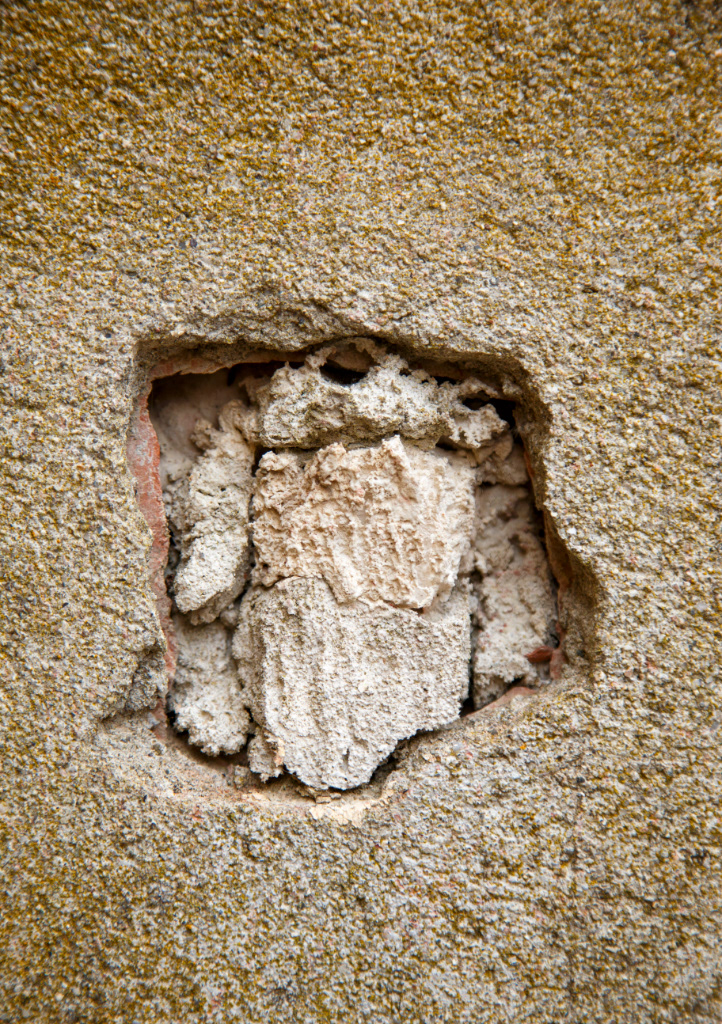 animalis_1 - extrait de animalis