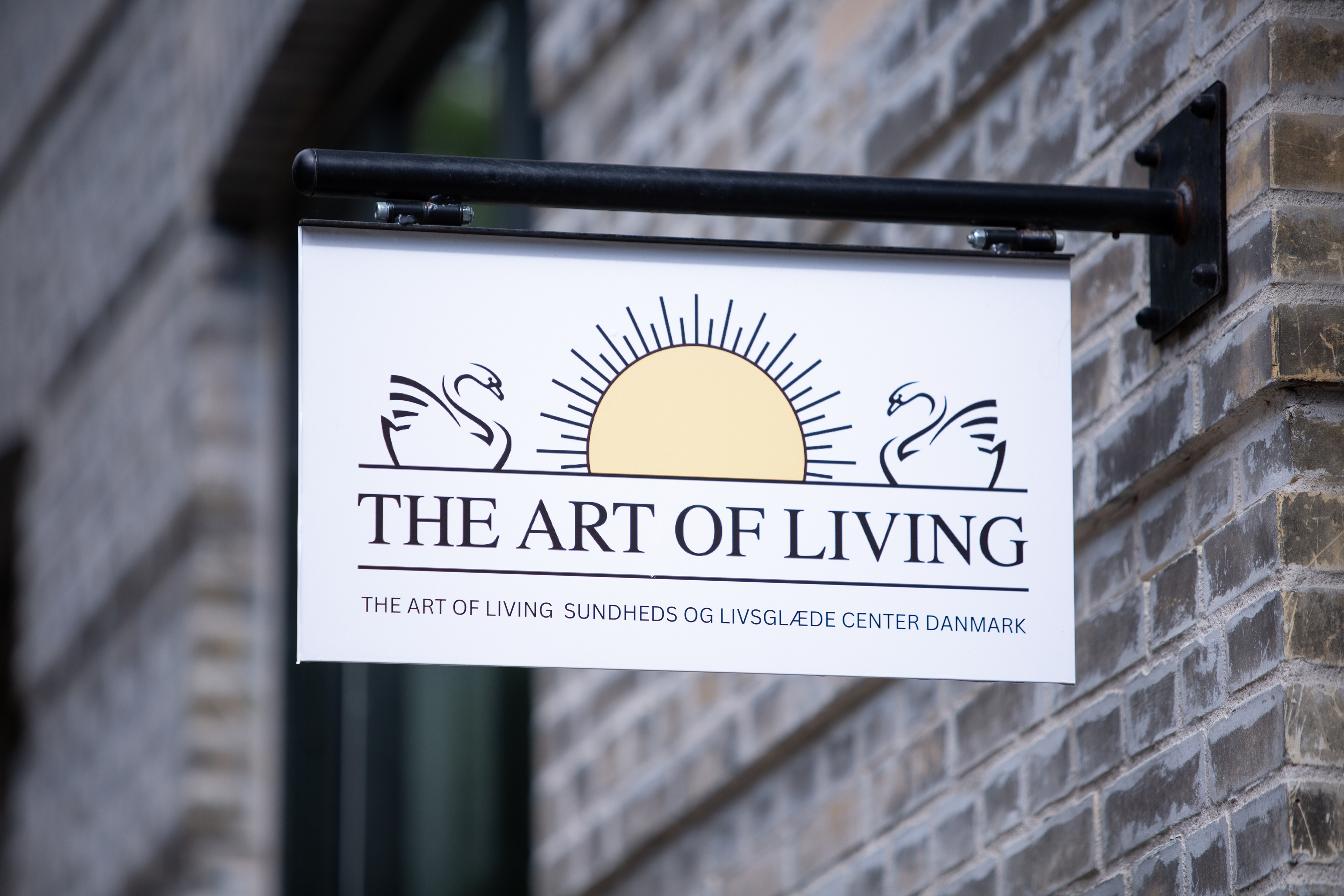The Art of Living, Yoga for The Mind, Sri Sri Ravi Shankar, CPH 2024