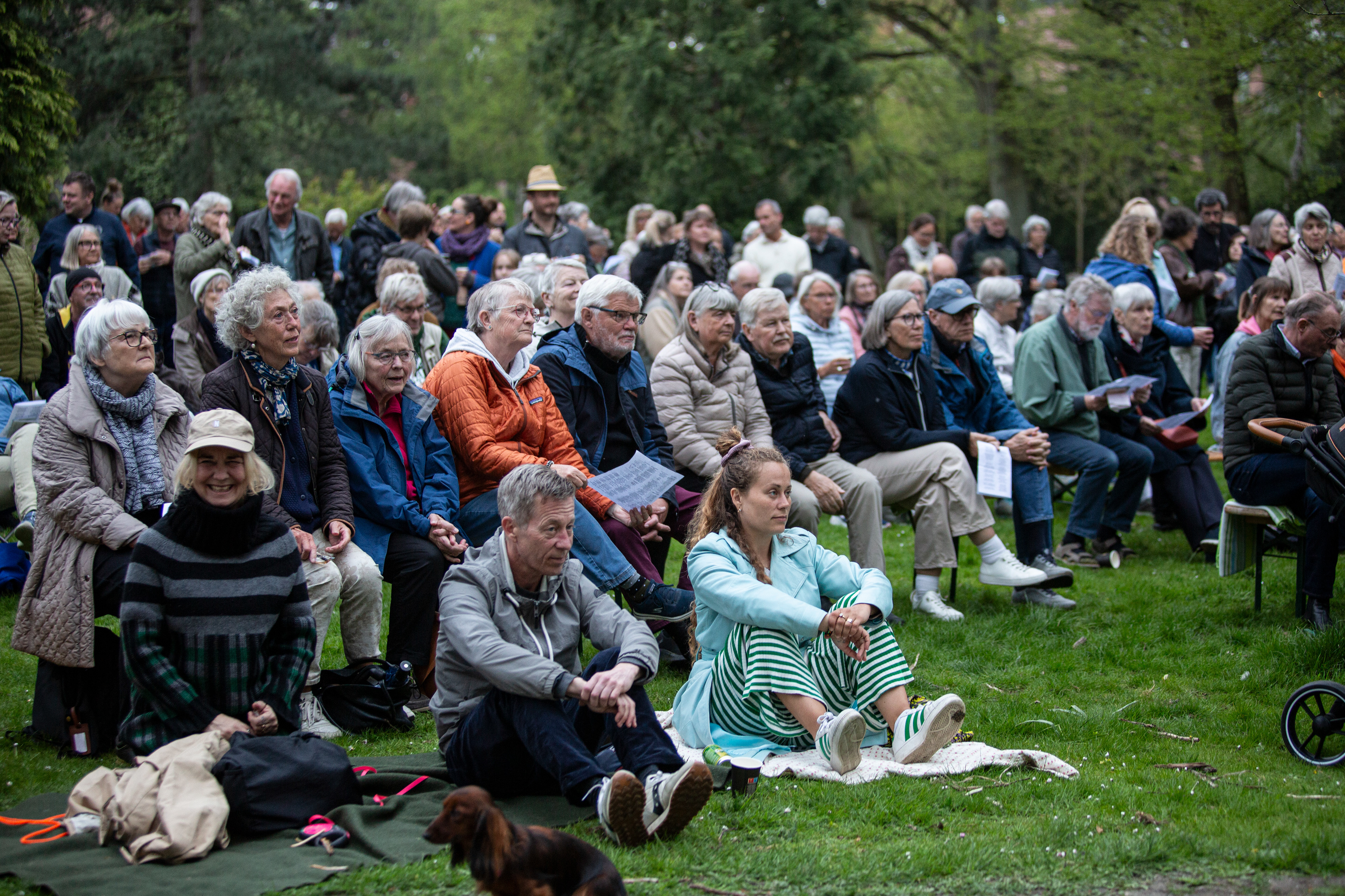 Peace and Freedom, Amager, May 04, 2024