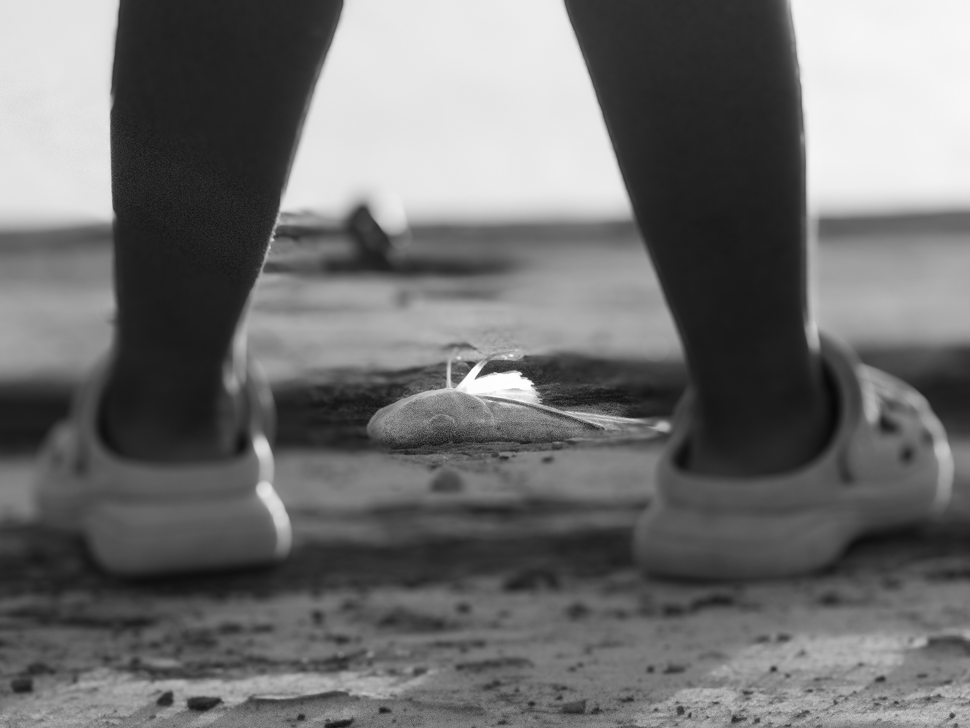 Bait, Knysna