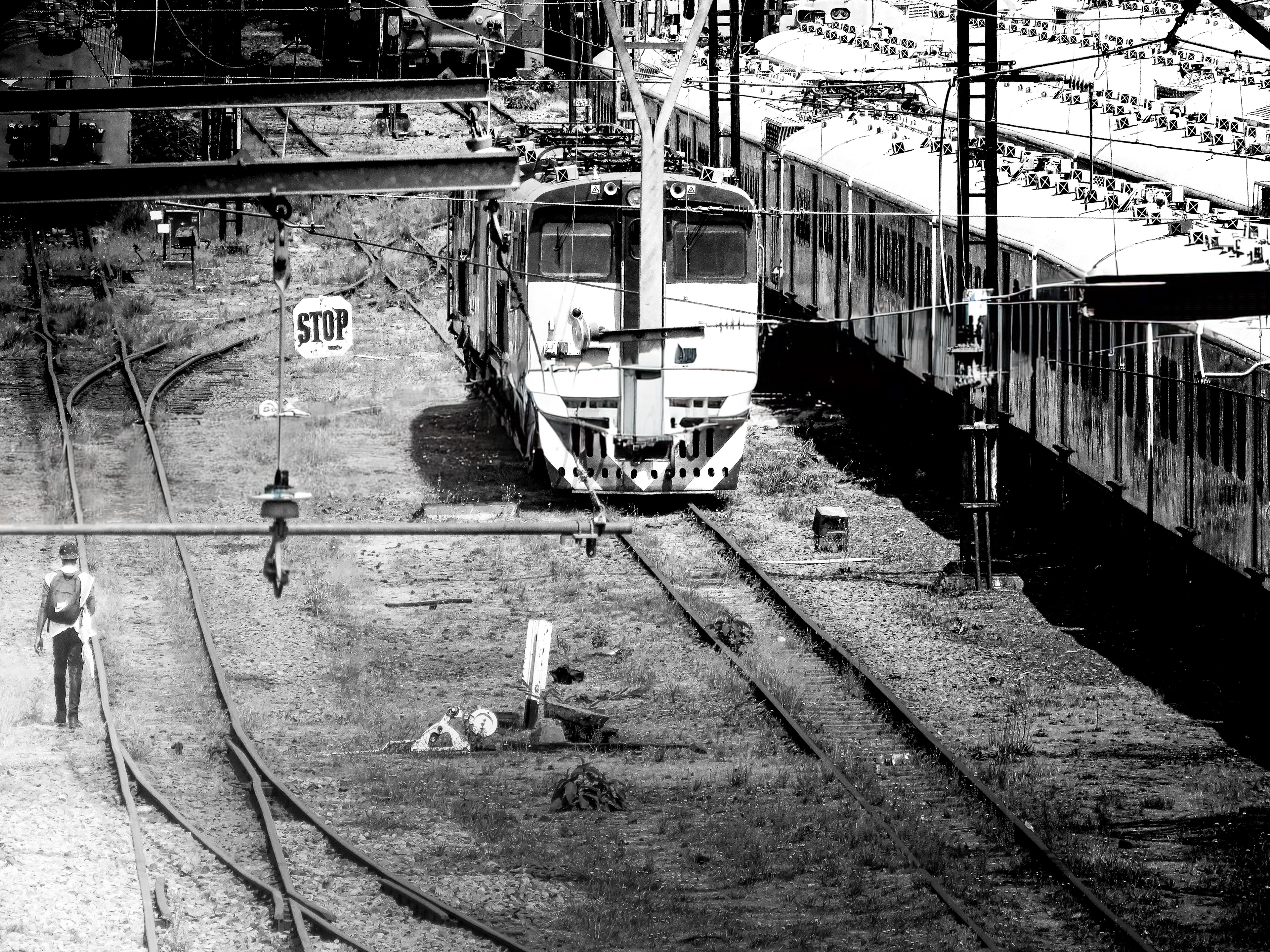 Trailhead, Johannesburg