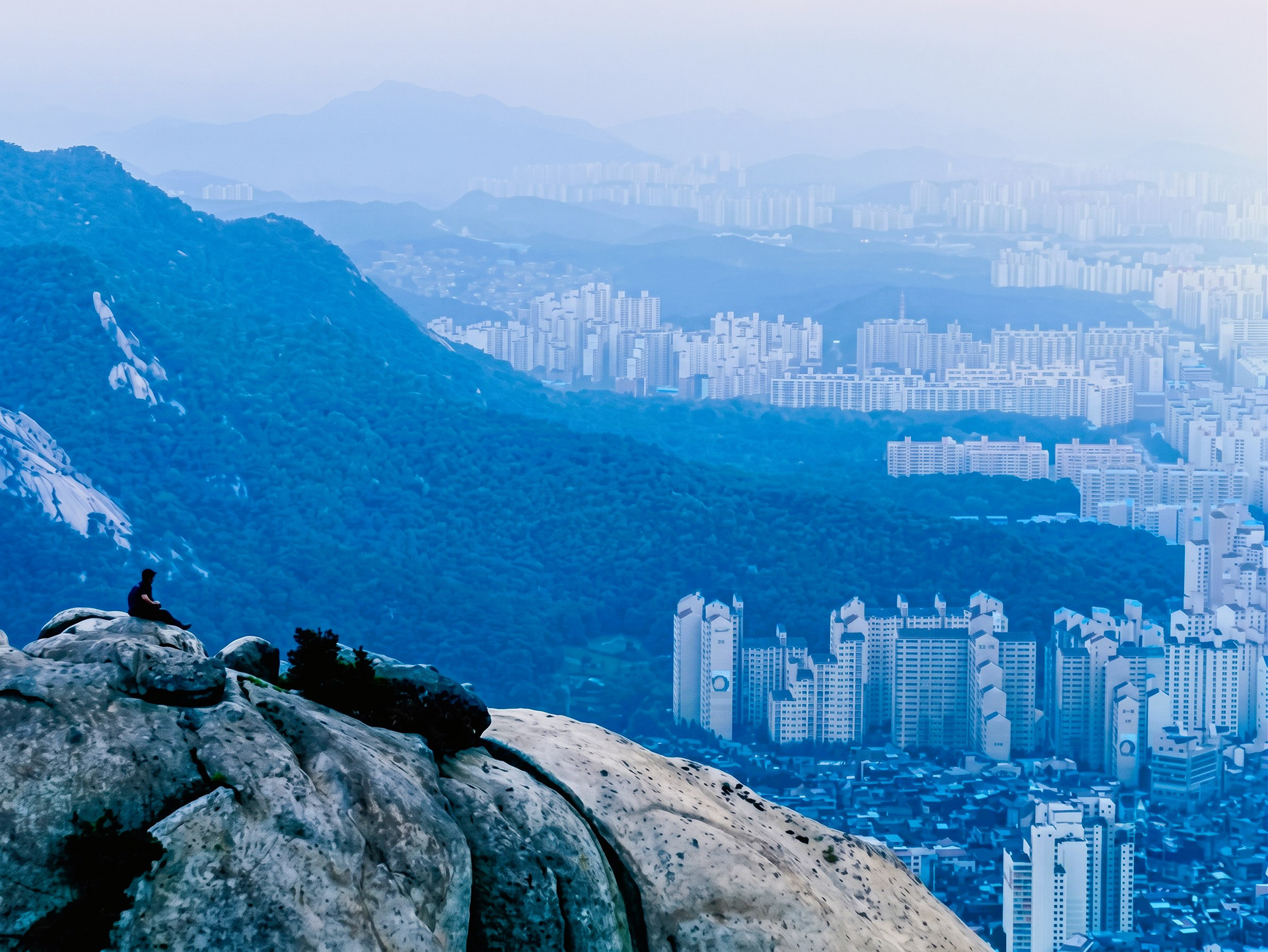 Peace & Quiet, Seoul