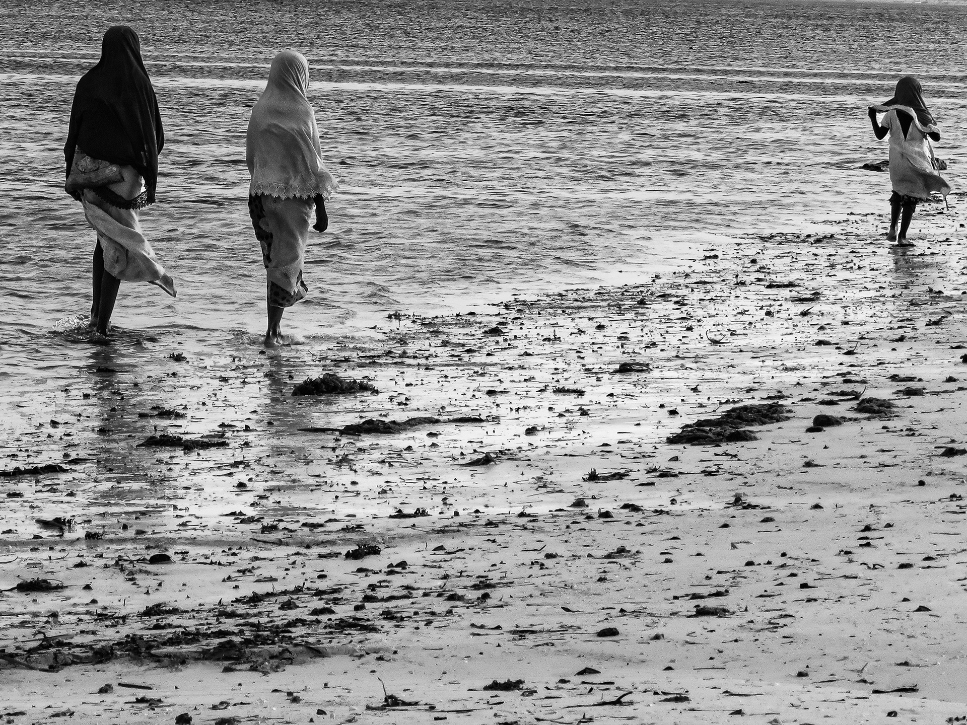 Low Tide, Kigomane