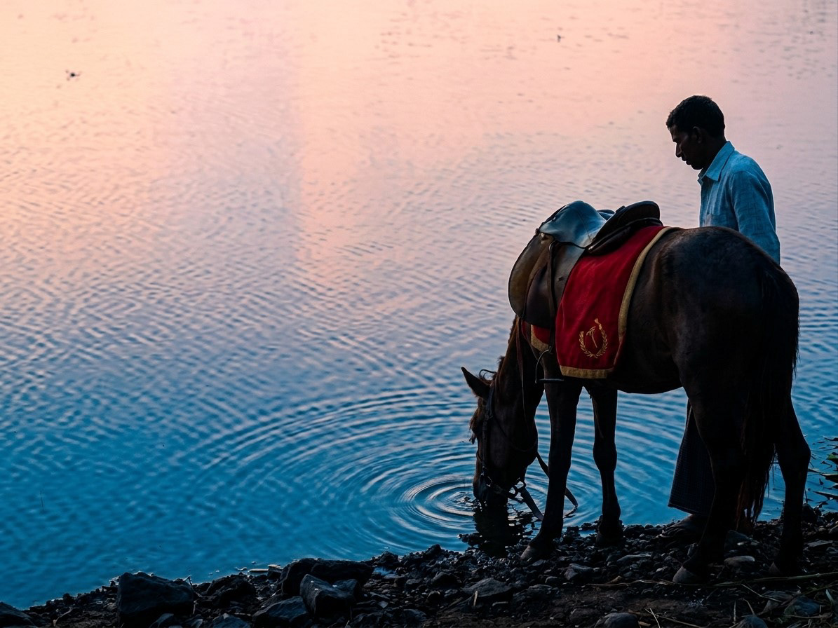 Horse to Water, Mahabaleshwar