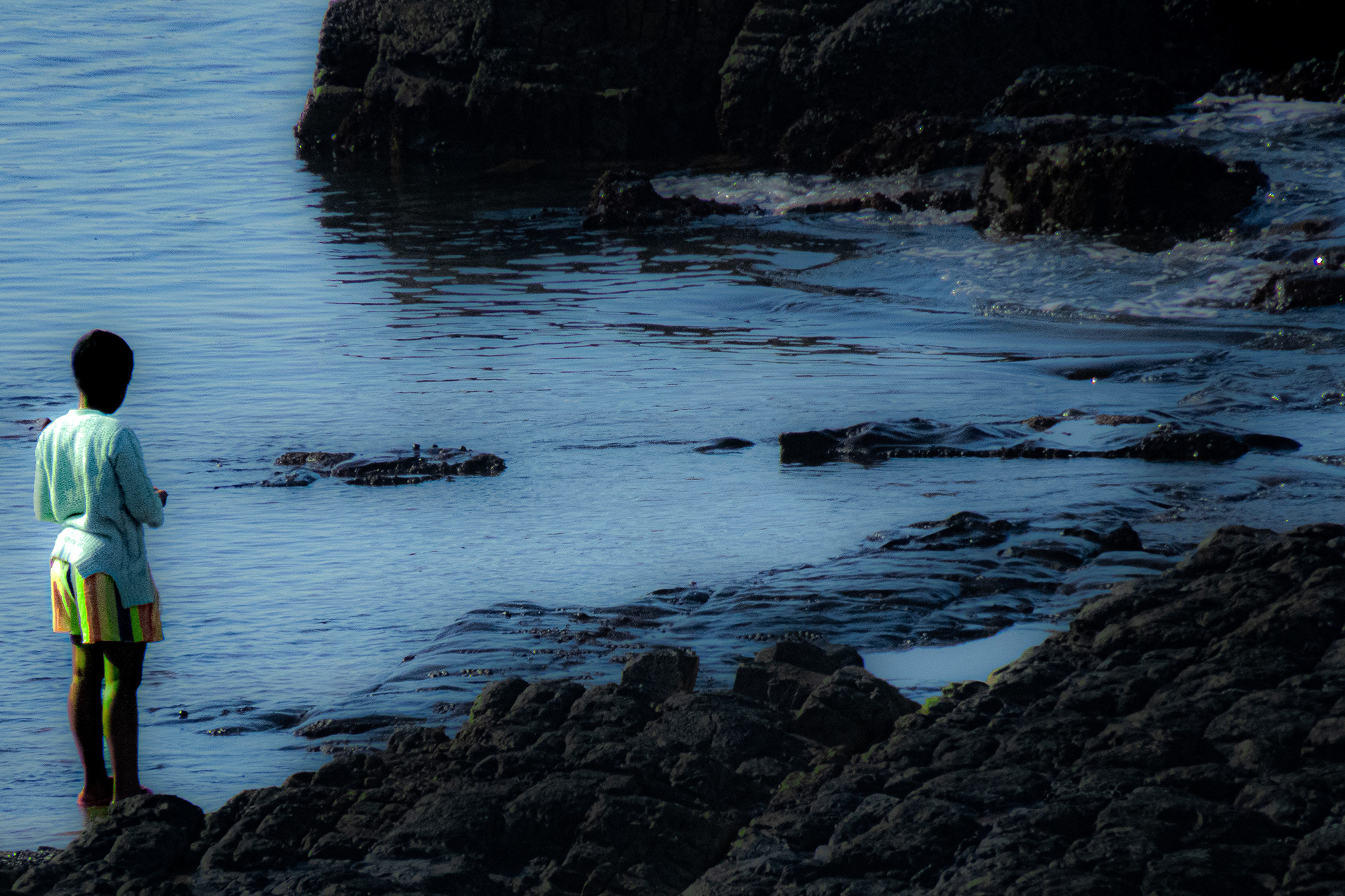 Intertidal, Kugompo