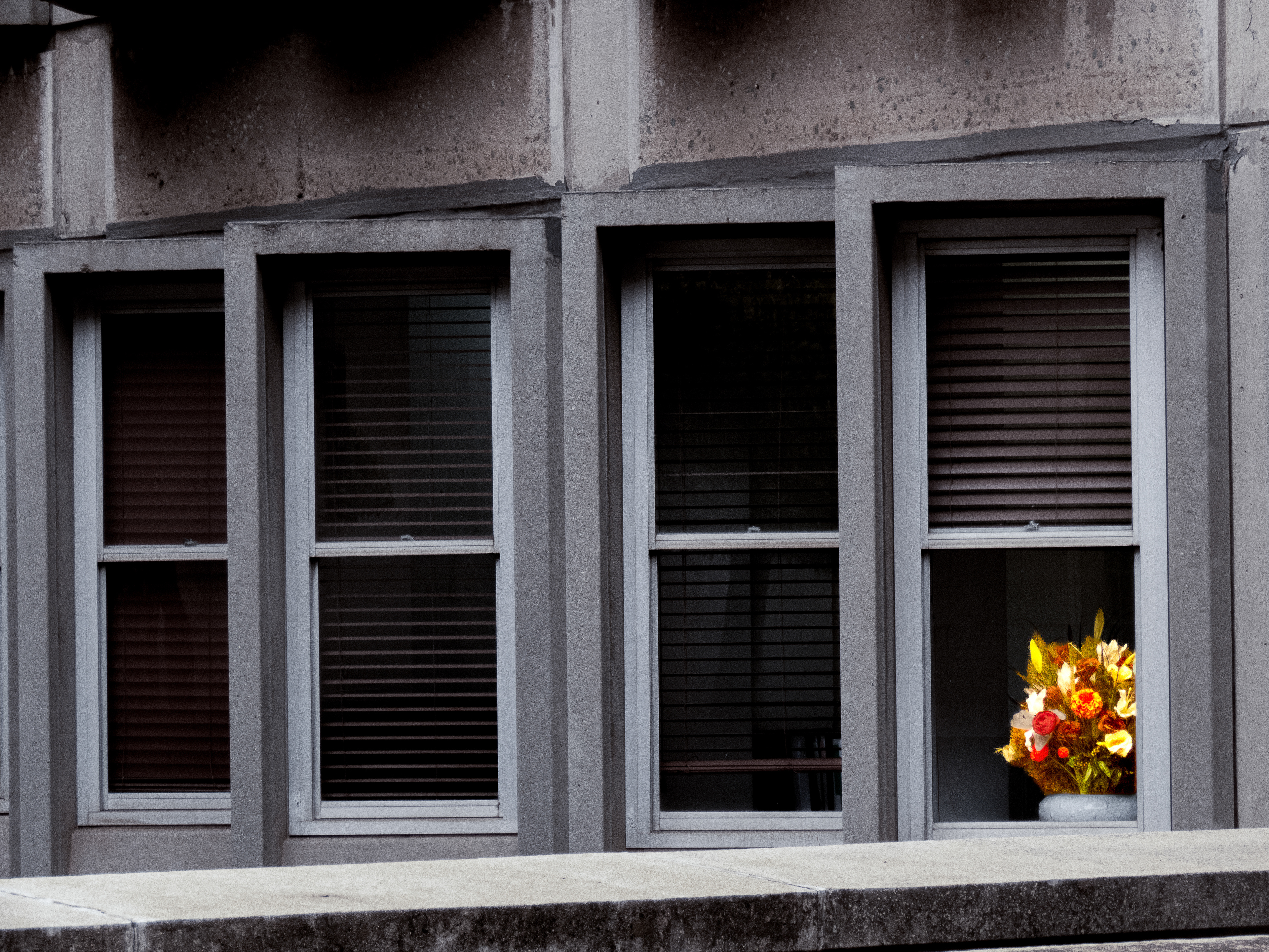 Wallflower, Johannesburg