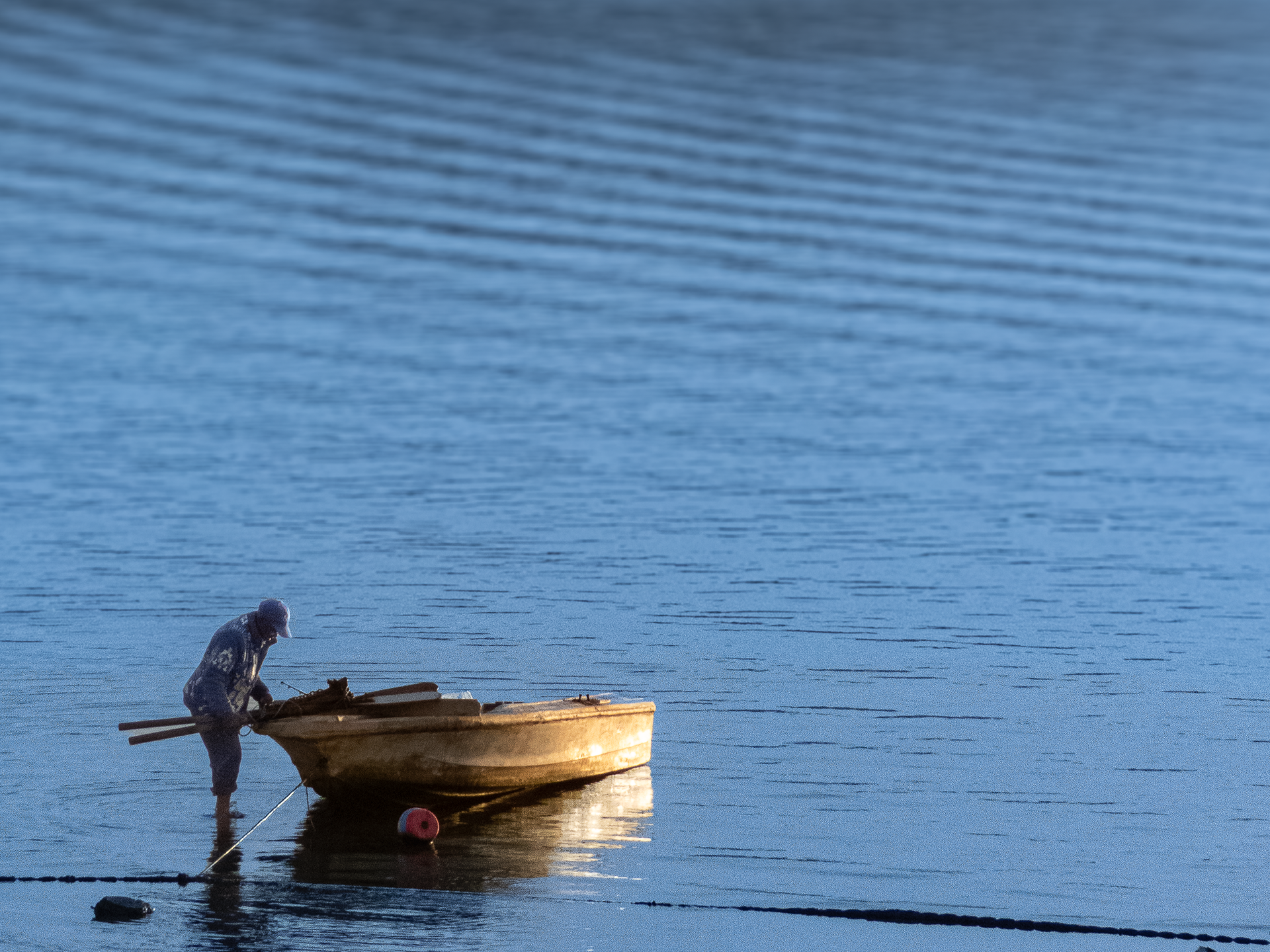 Oysterman, Knysna