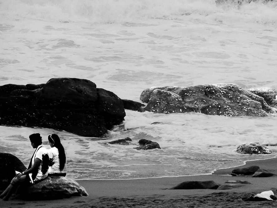 Barnacles. Port Edward