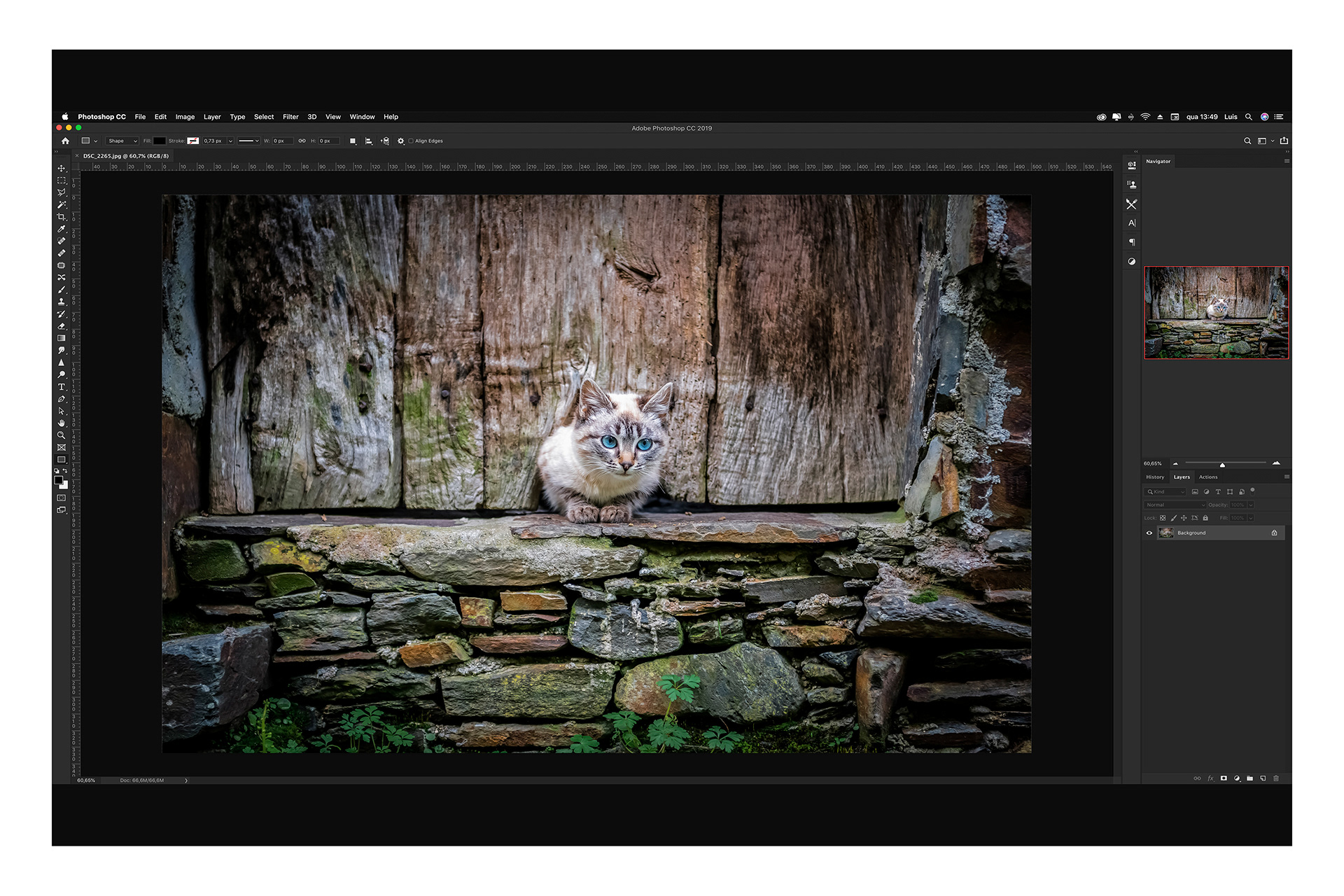 Workshop de Software Photoshop