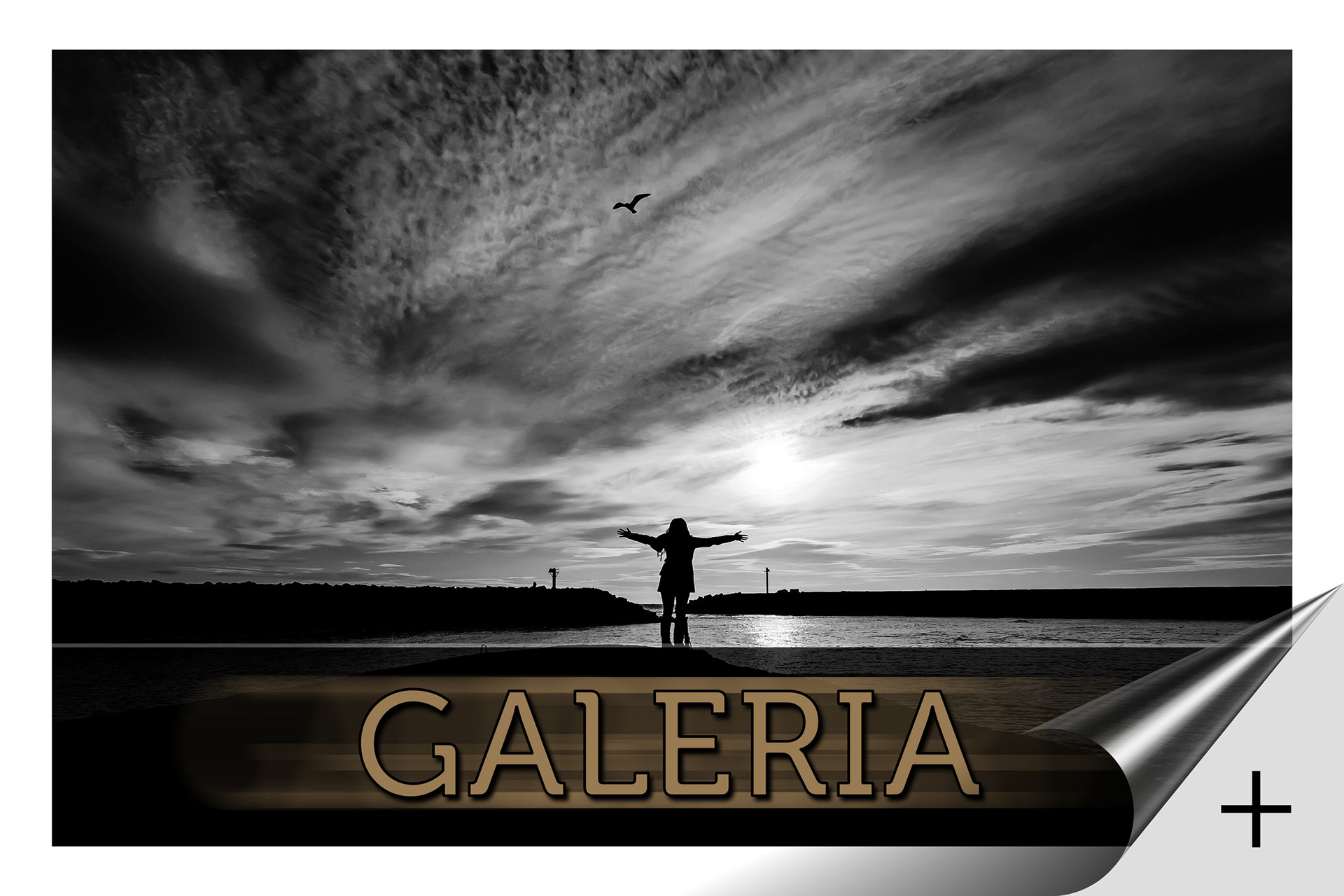 Galeria