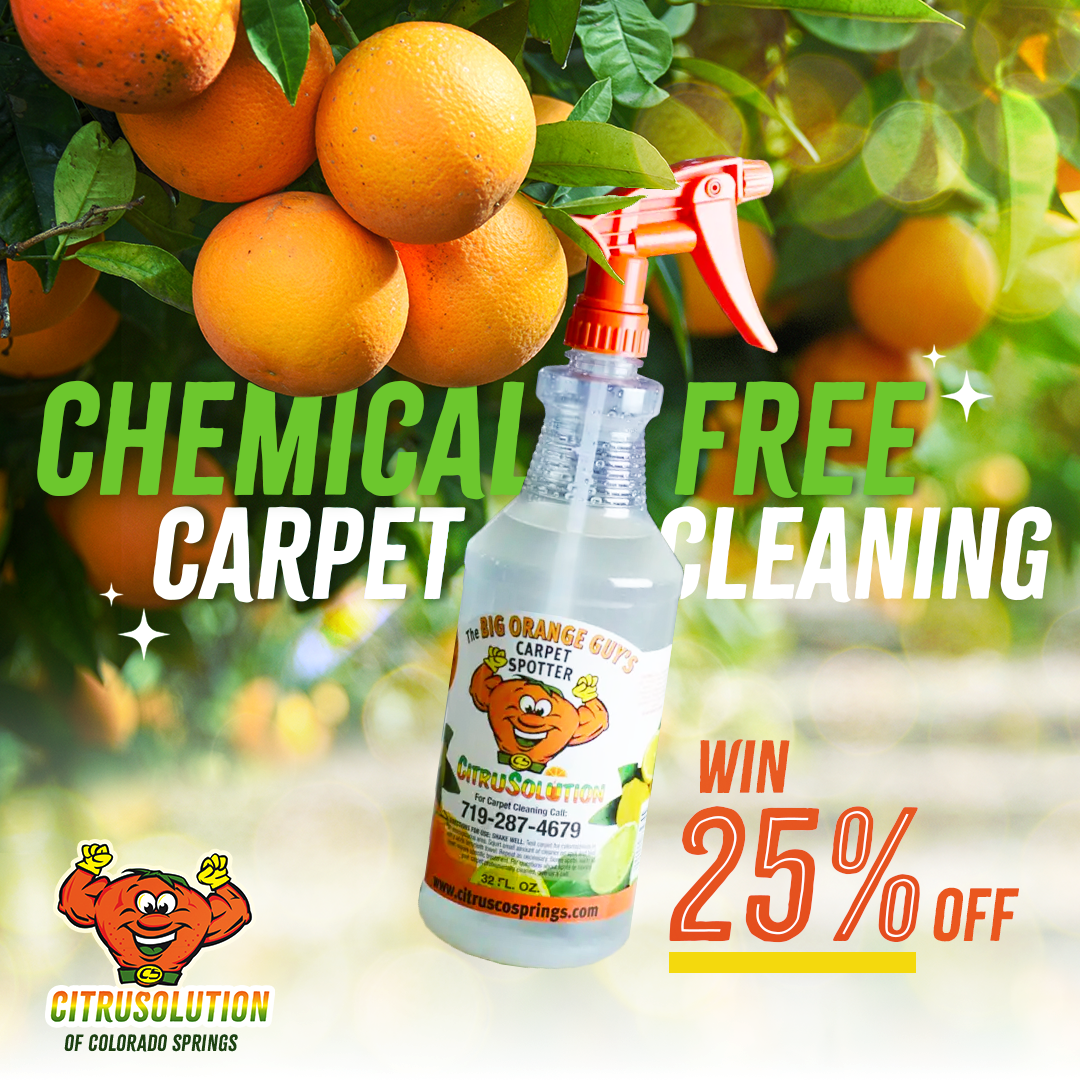 This ad was created for a company called CitriSolution, a carpet cleaning franchise in Nashville., Tennessee. In this ad we wanted to highlight the orange powered cleaning solution used in the carpet cleaning process. Here I had a solution bottle growing from an orange tree branch to further highlight the orange in the solution. 