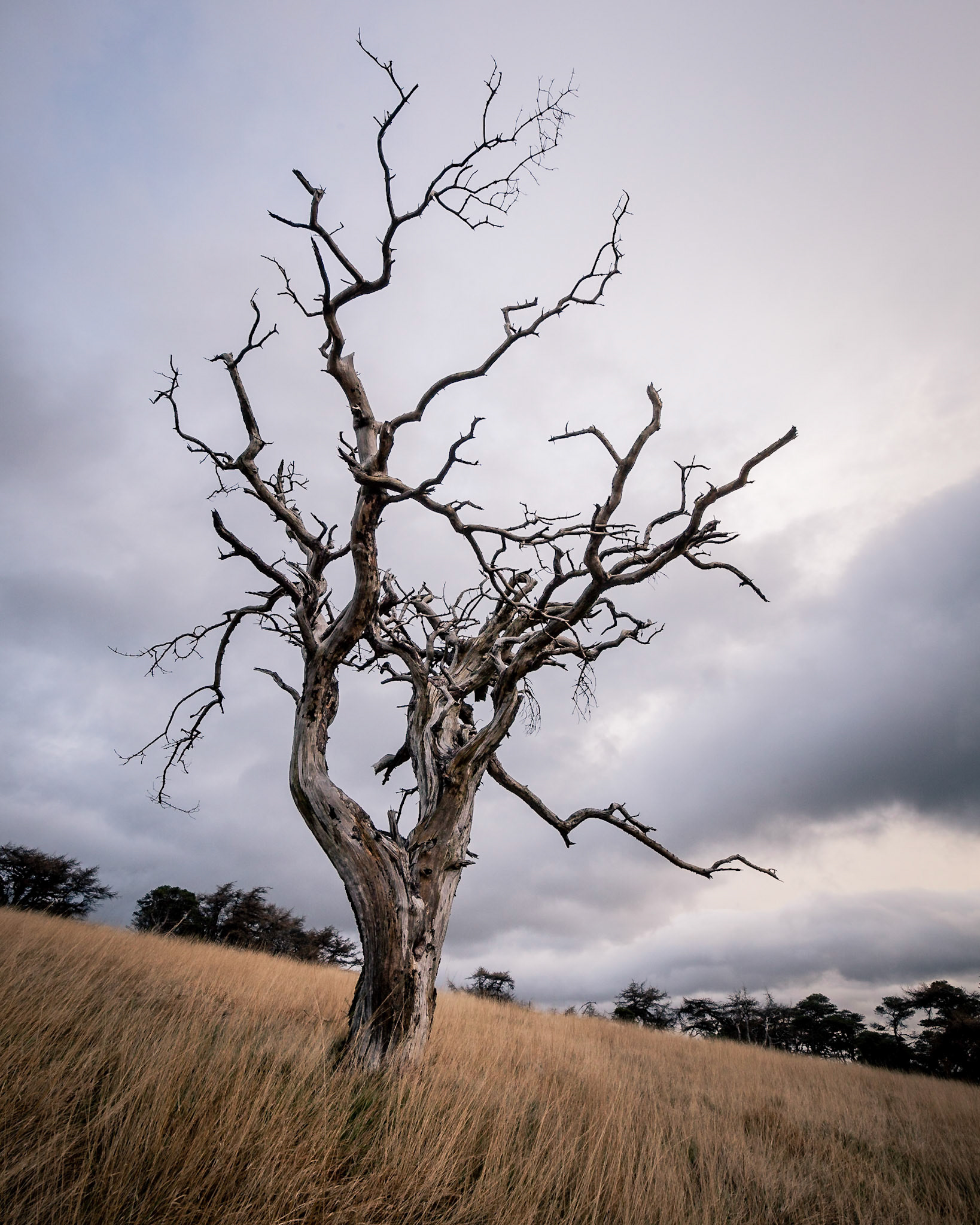 Great Mell Fell