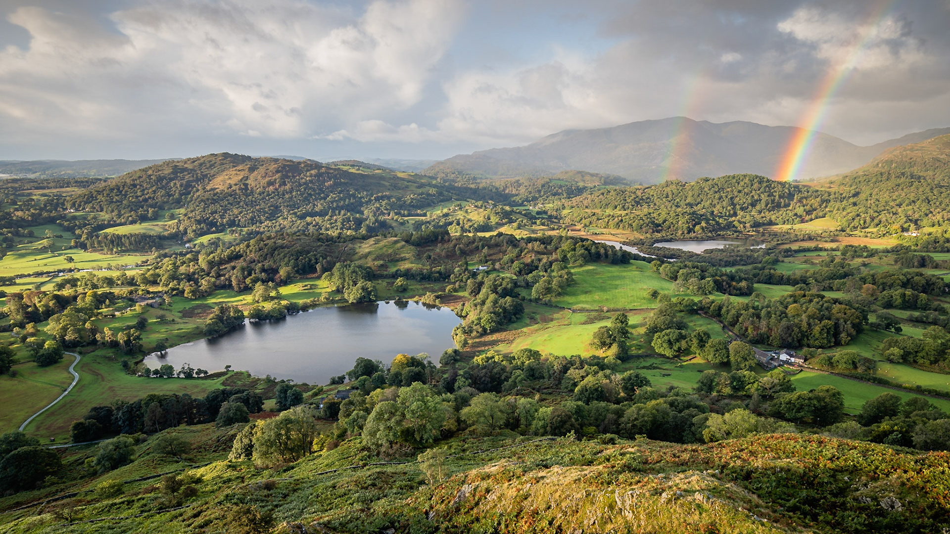 Loughrigg Tarn from Loughrigg Fell