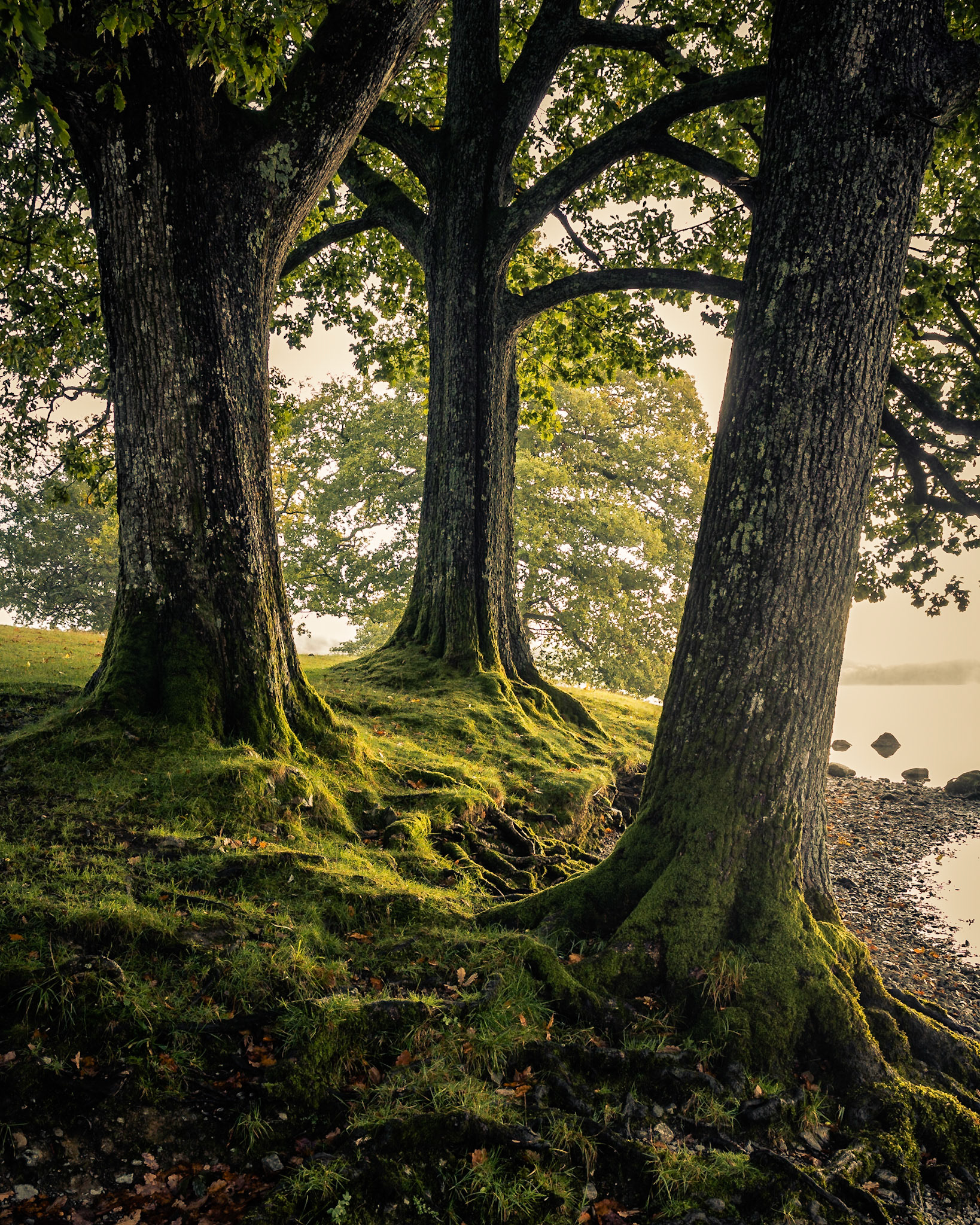High Wray Bay, Windermere