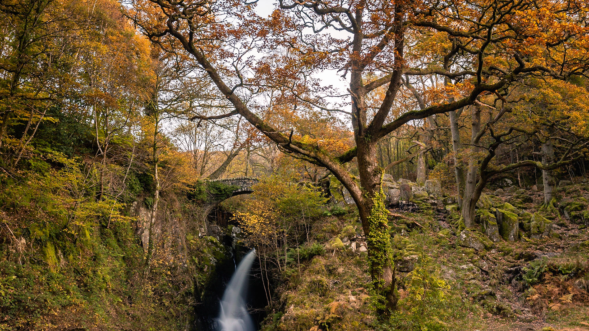 Aira Force