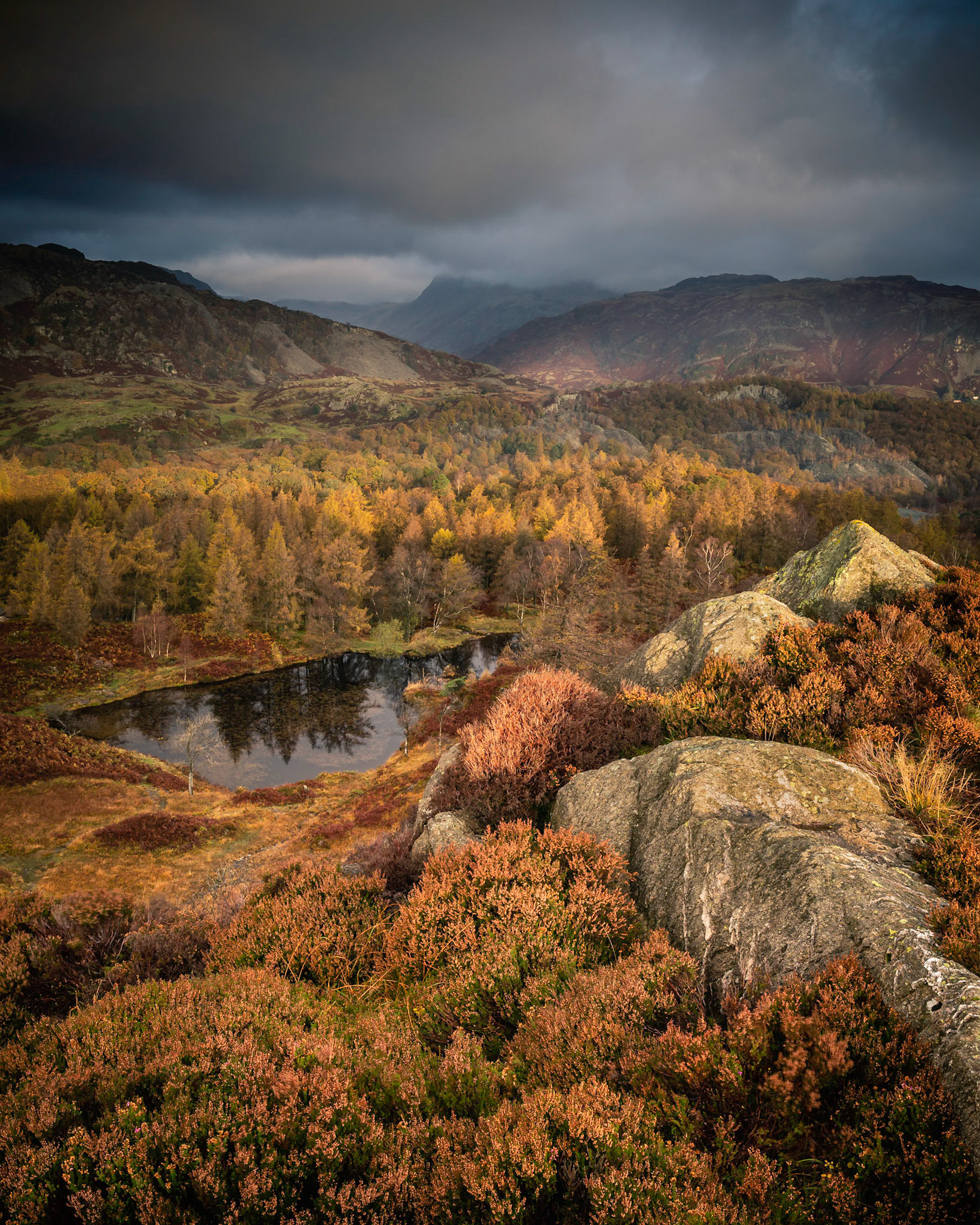 Holme Fell