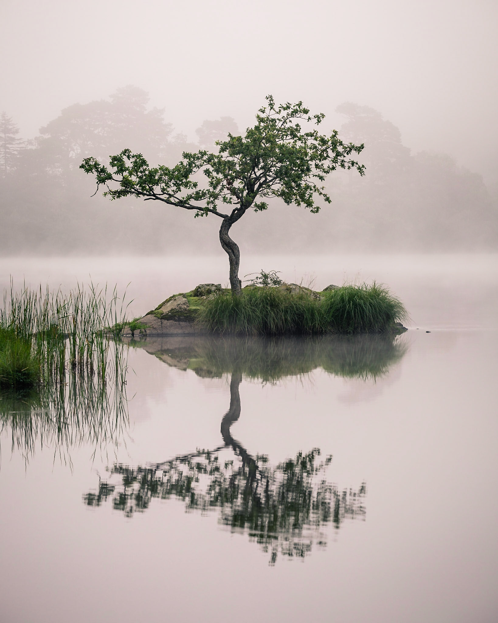 Rydal Water