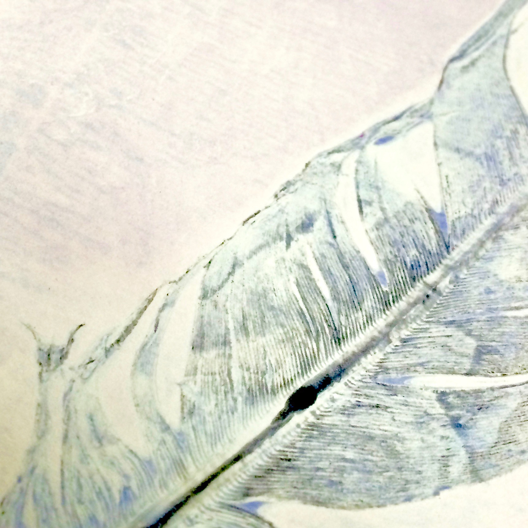 gelatin print