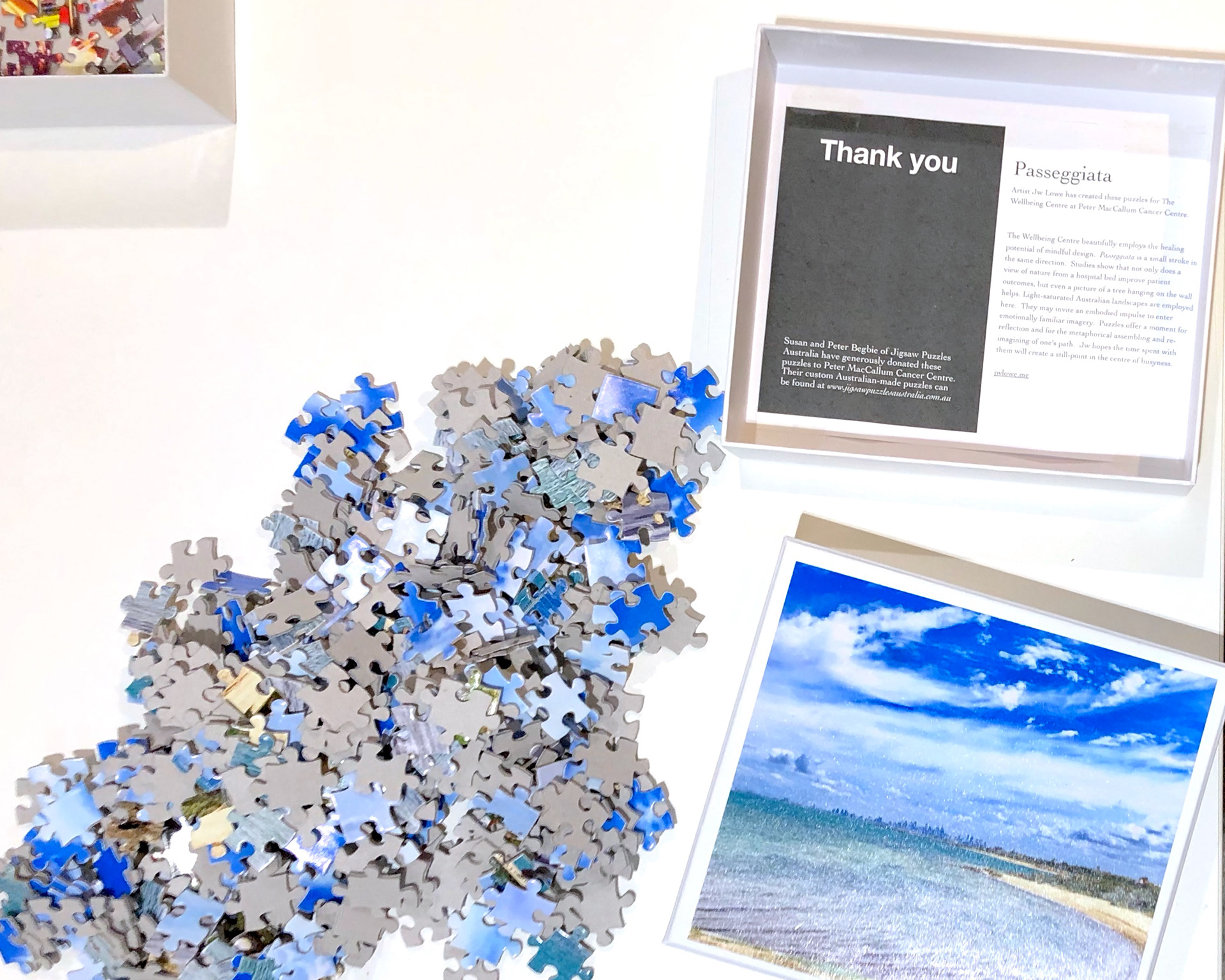 Passeggiata. custom puzzles for Peter MacCallum Cancer Centre