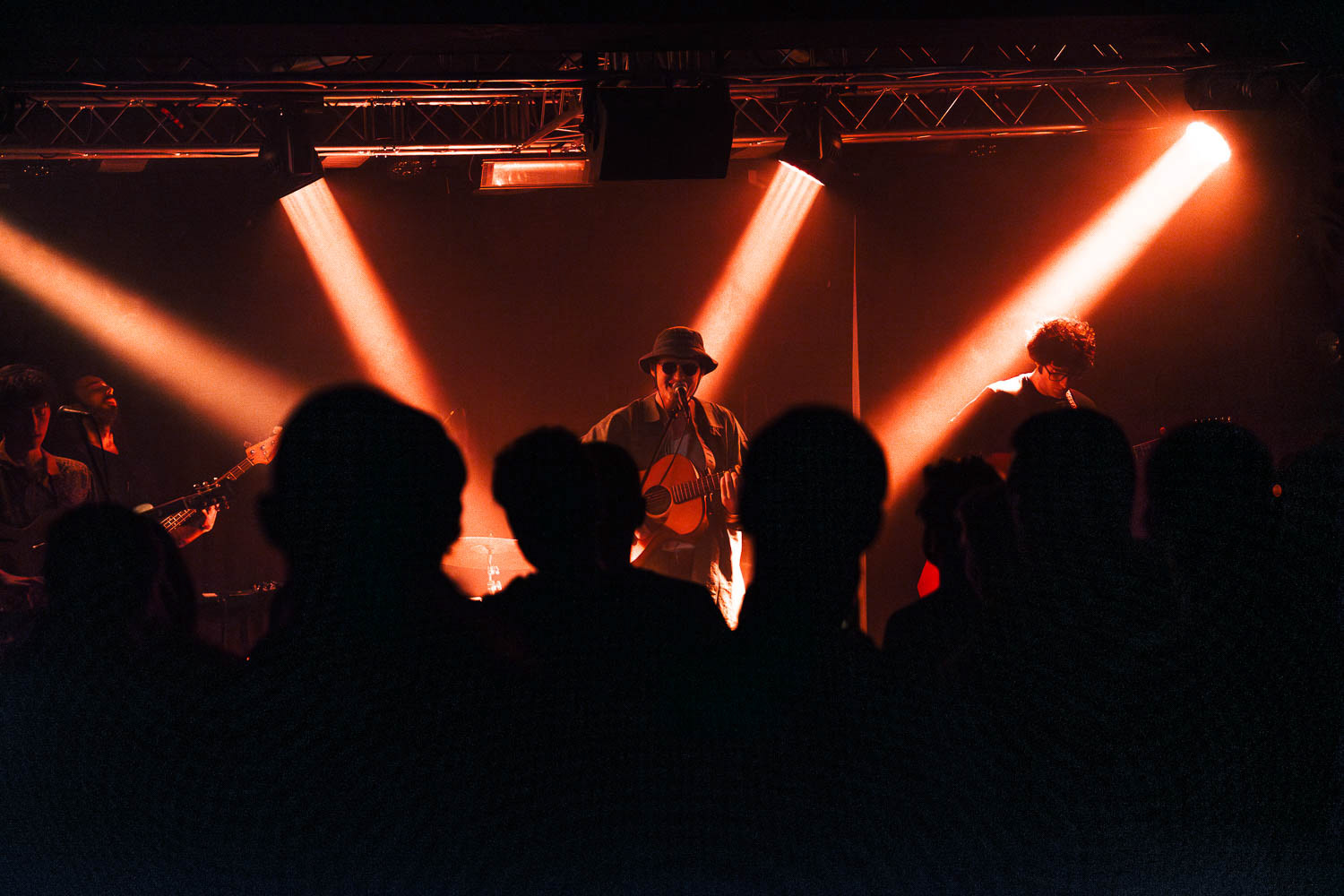 Island Mint in Kabinet Múz, Brno