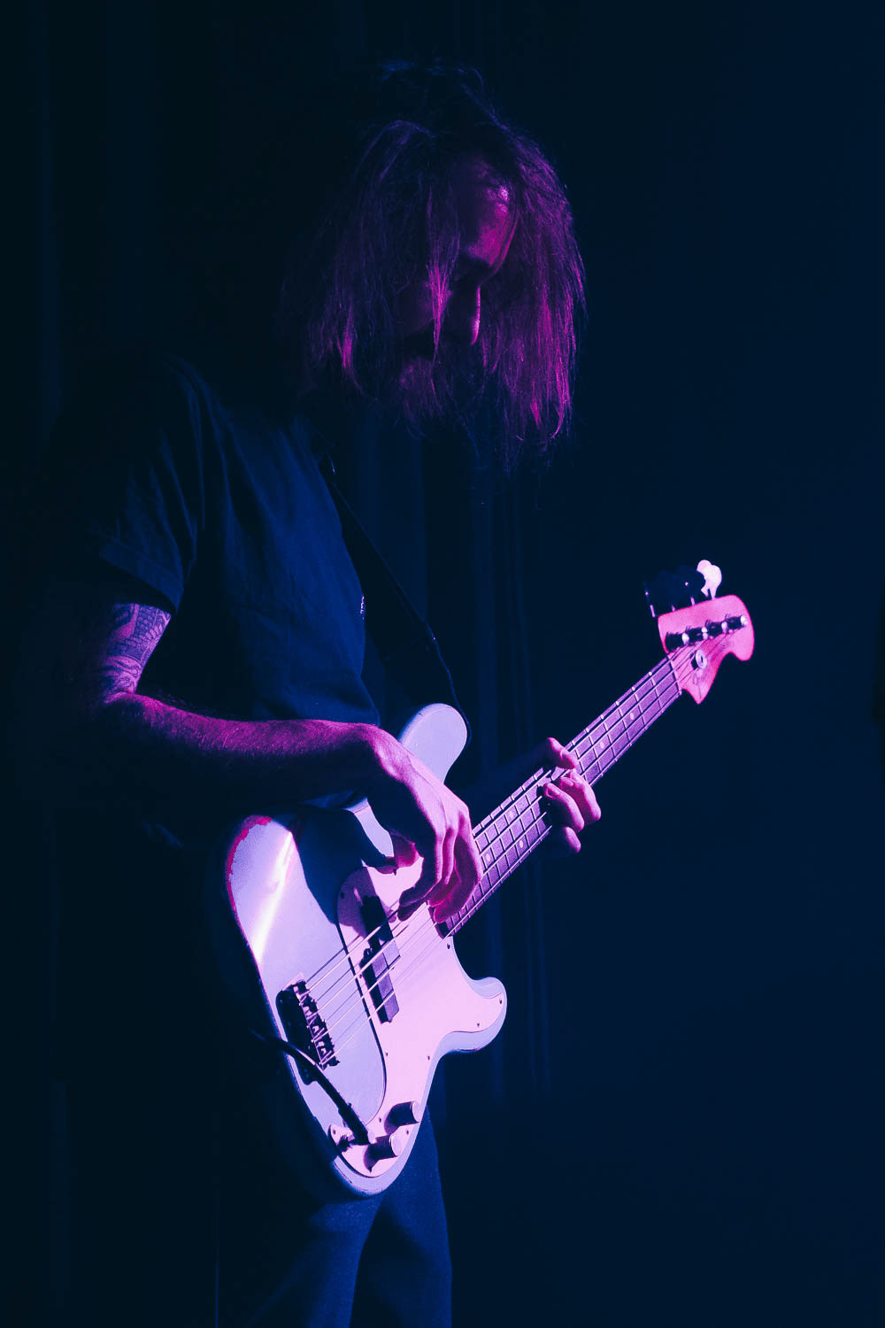 Island Mint in Kabinet Múz, Brno