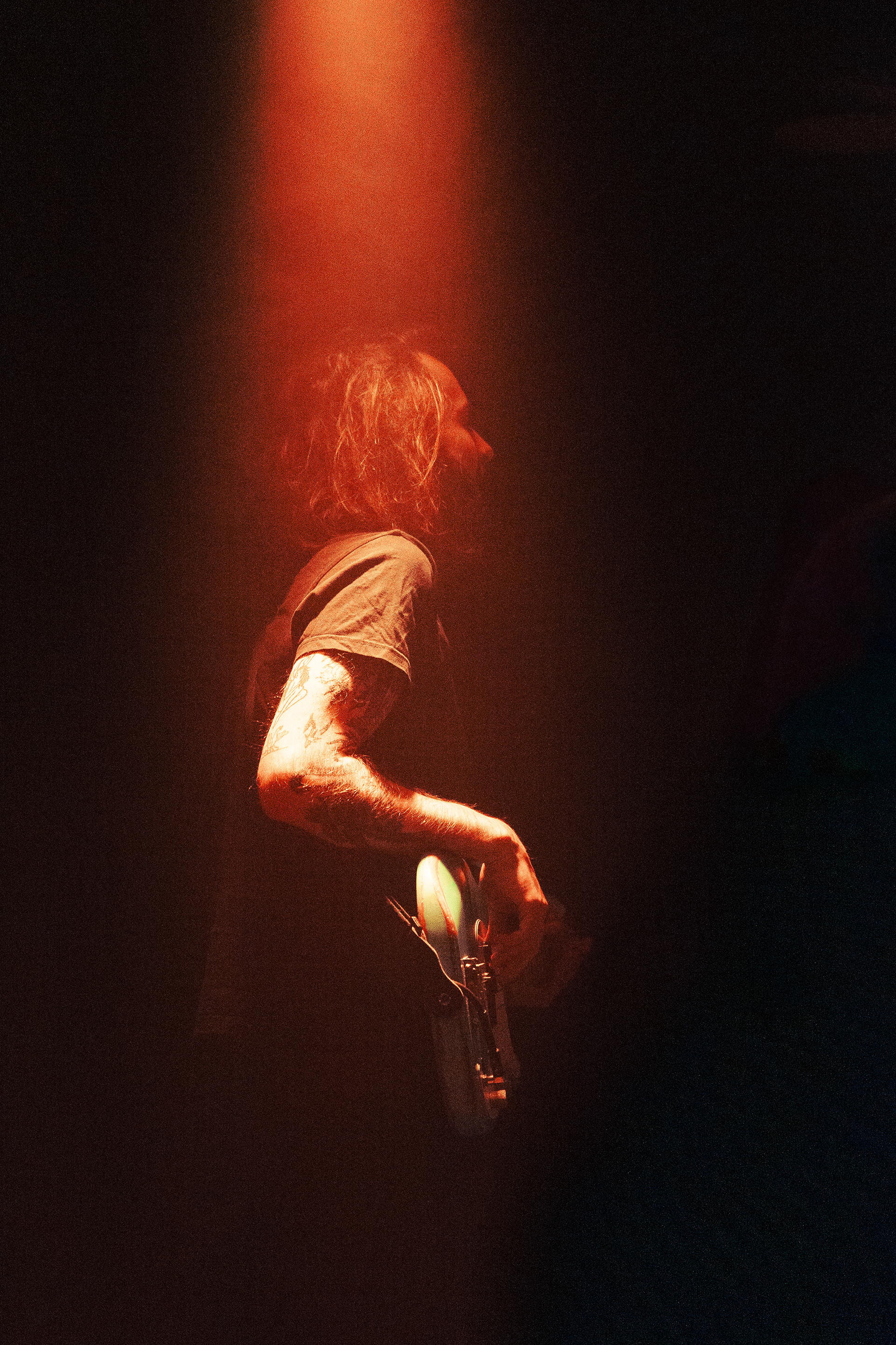 Island Mint in Kabinet Múz, Brno