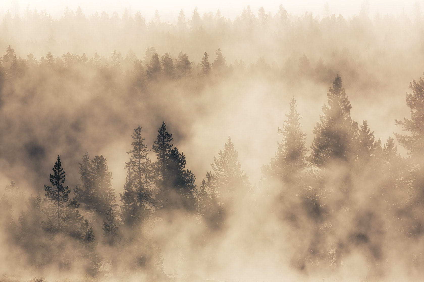 Yellowstone National Park, USA