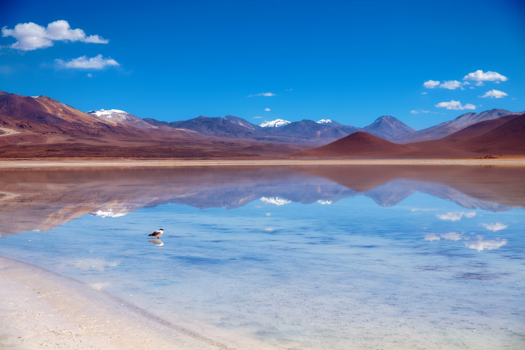 Laguna Blanca, Bolivia