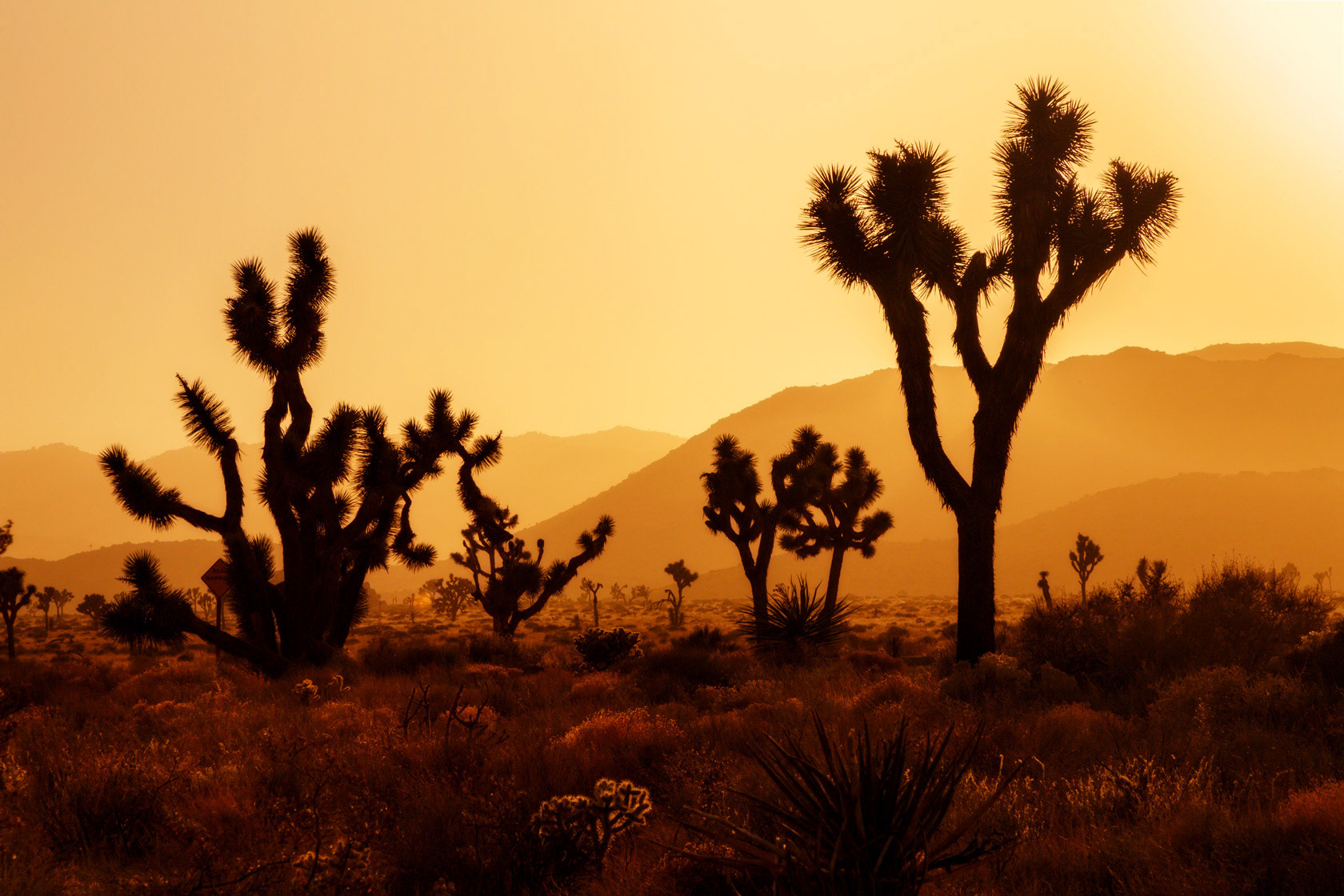 Joshua Tree National Park, USA
