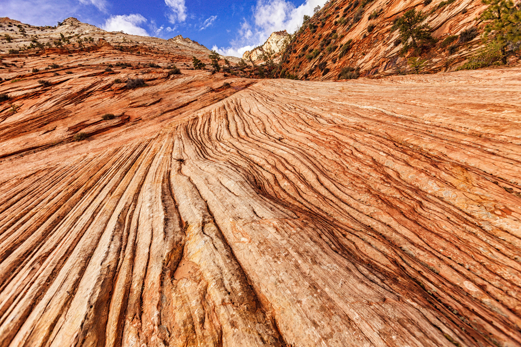 Zion National Park, USA
