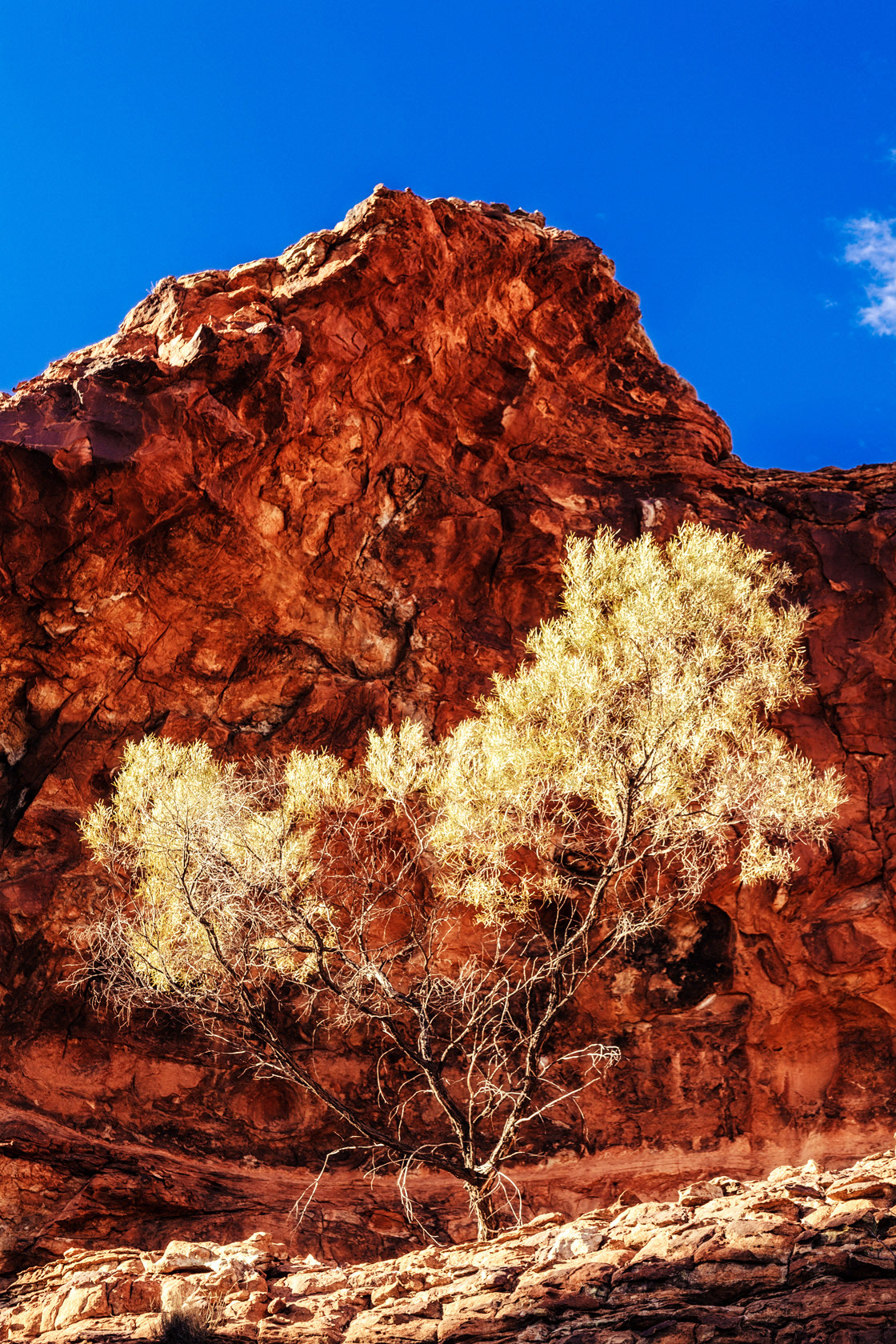 King's Canyon, Australia