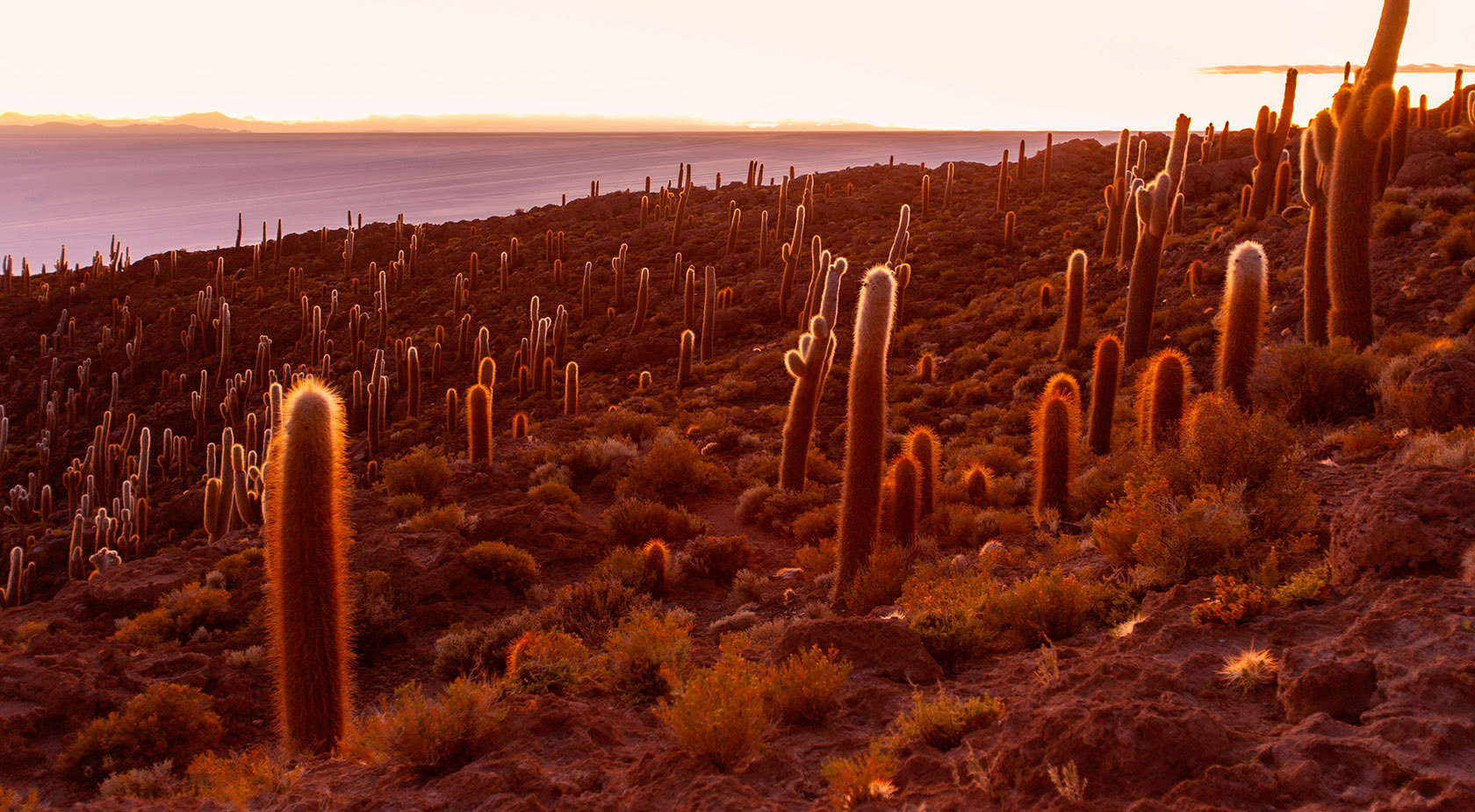 Salar de Uyuni, Bolivia