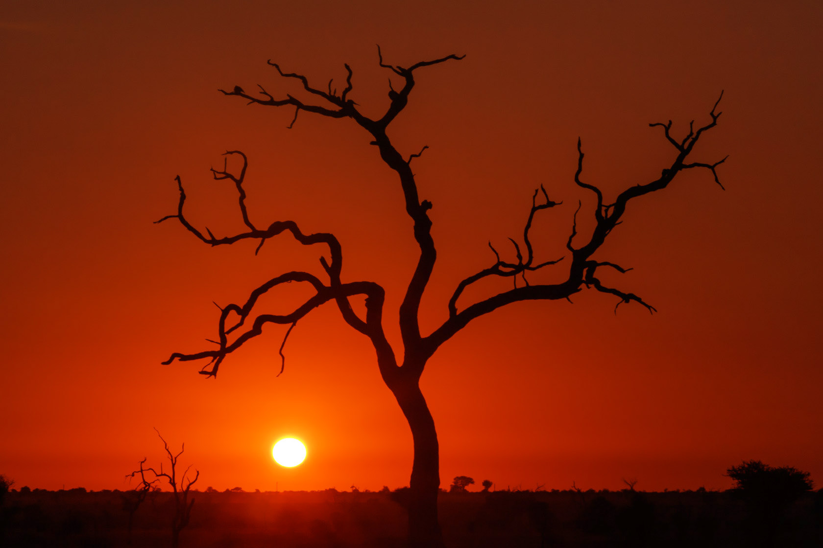 Kruger National Park, South Africa